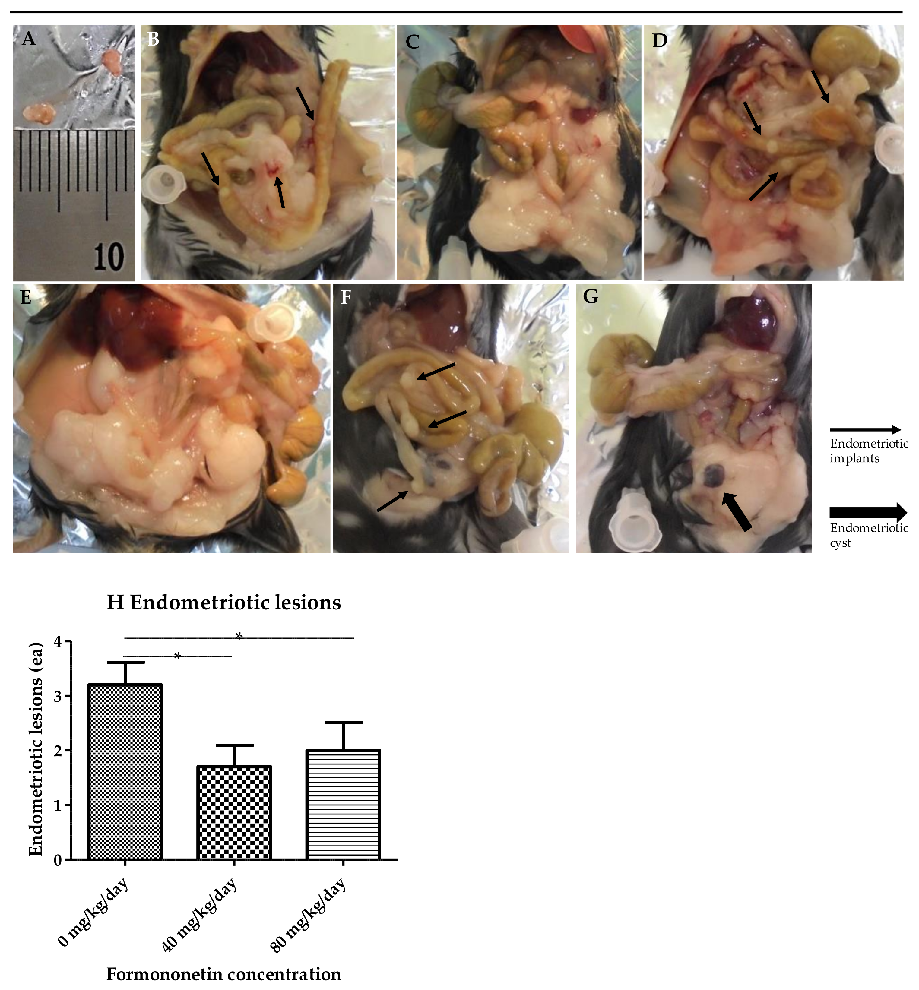 Nutrients 15 03001 g006