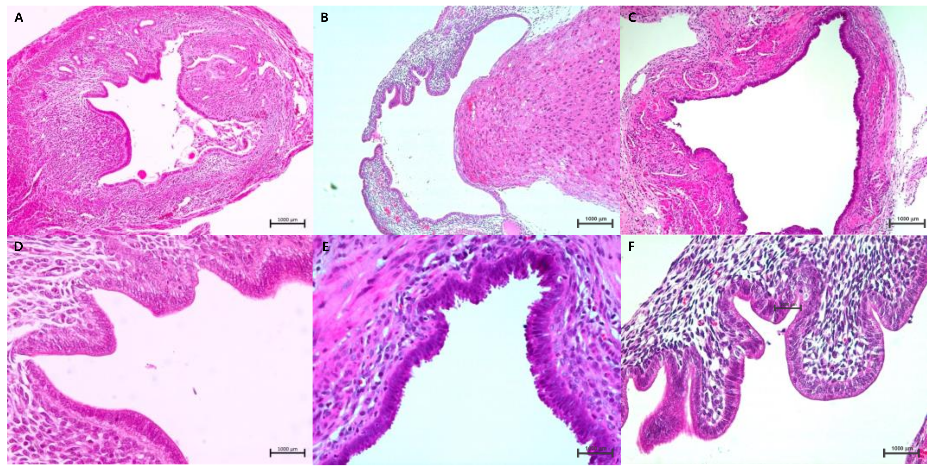Nutrients 15 03001 g007