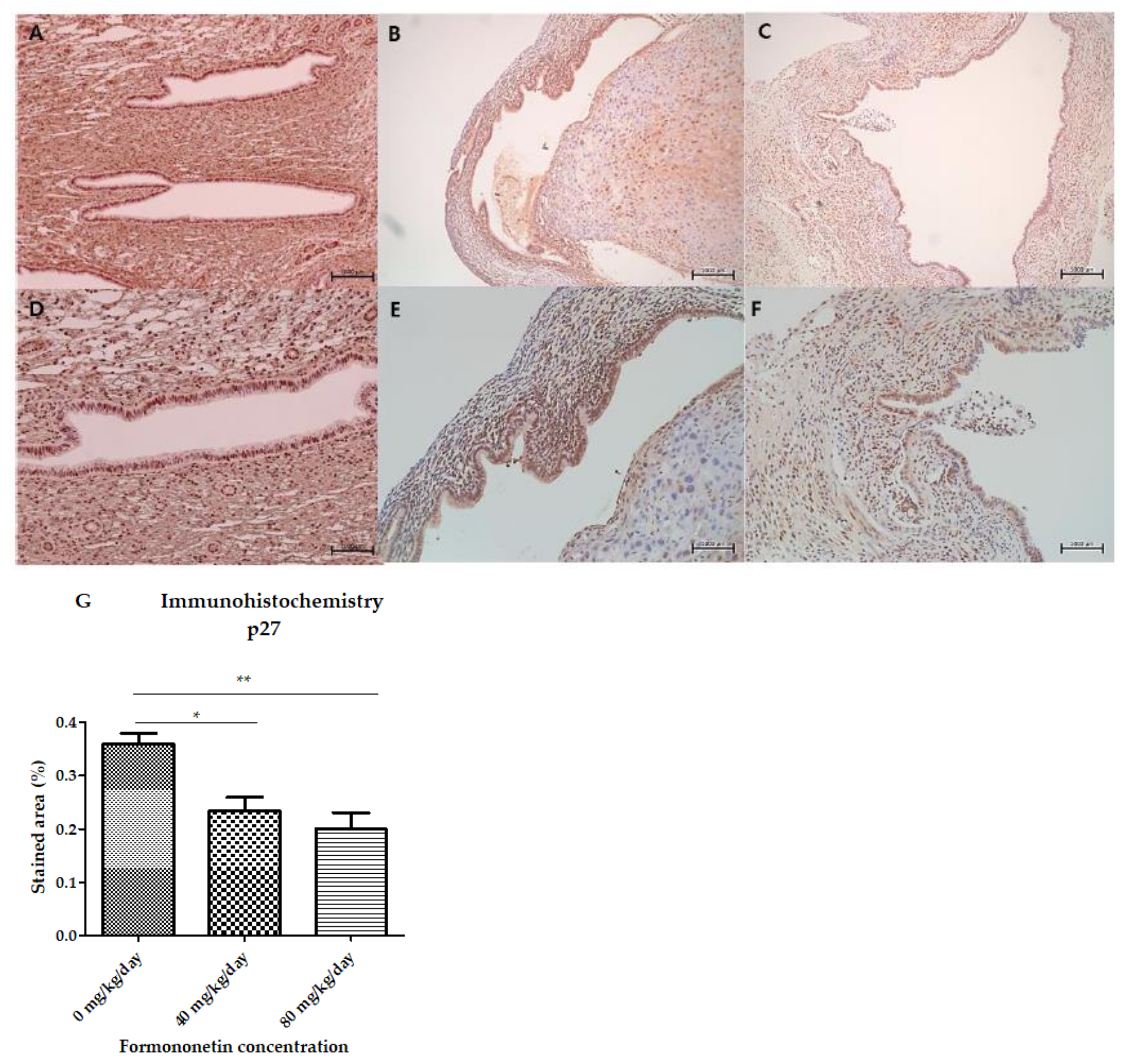 Nutrients 15 03001 g008
