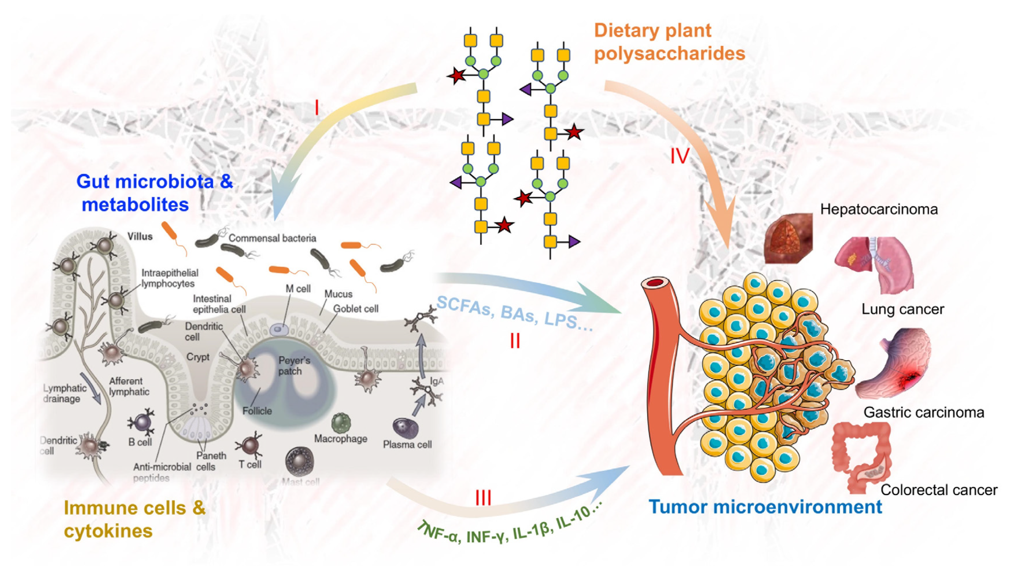 Nutrients 15 03019 g001 Nutrients 15 03019 g001