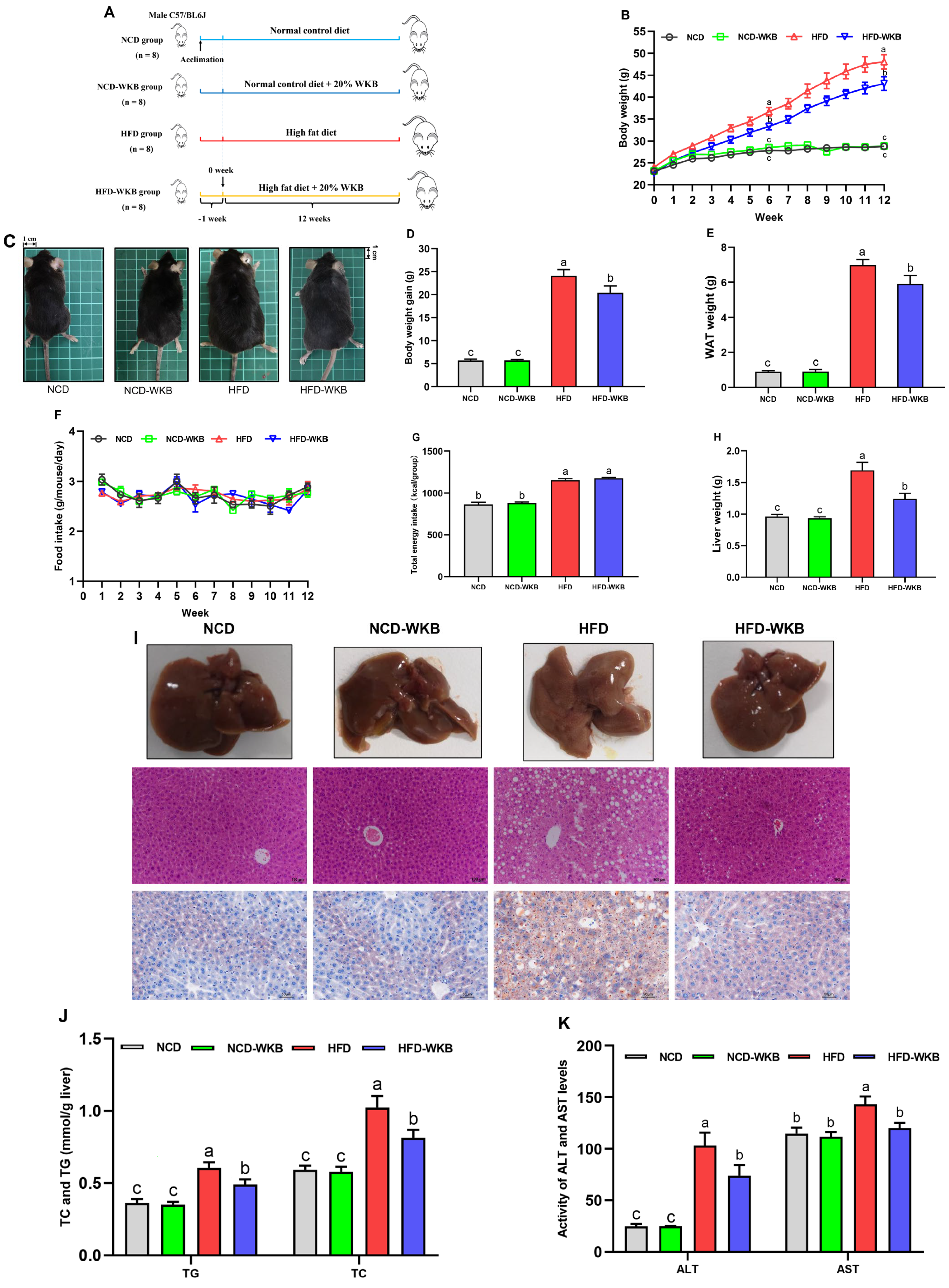 Nutrients 15 03033 g001 Nutrients 15 03033 g001