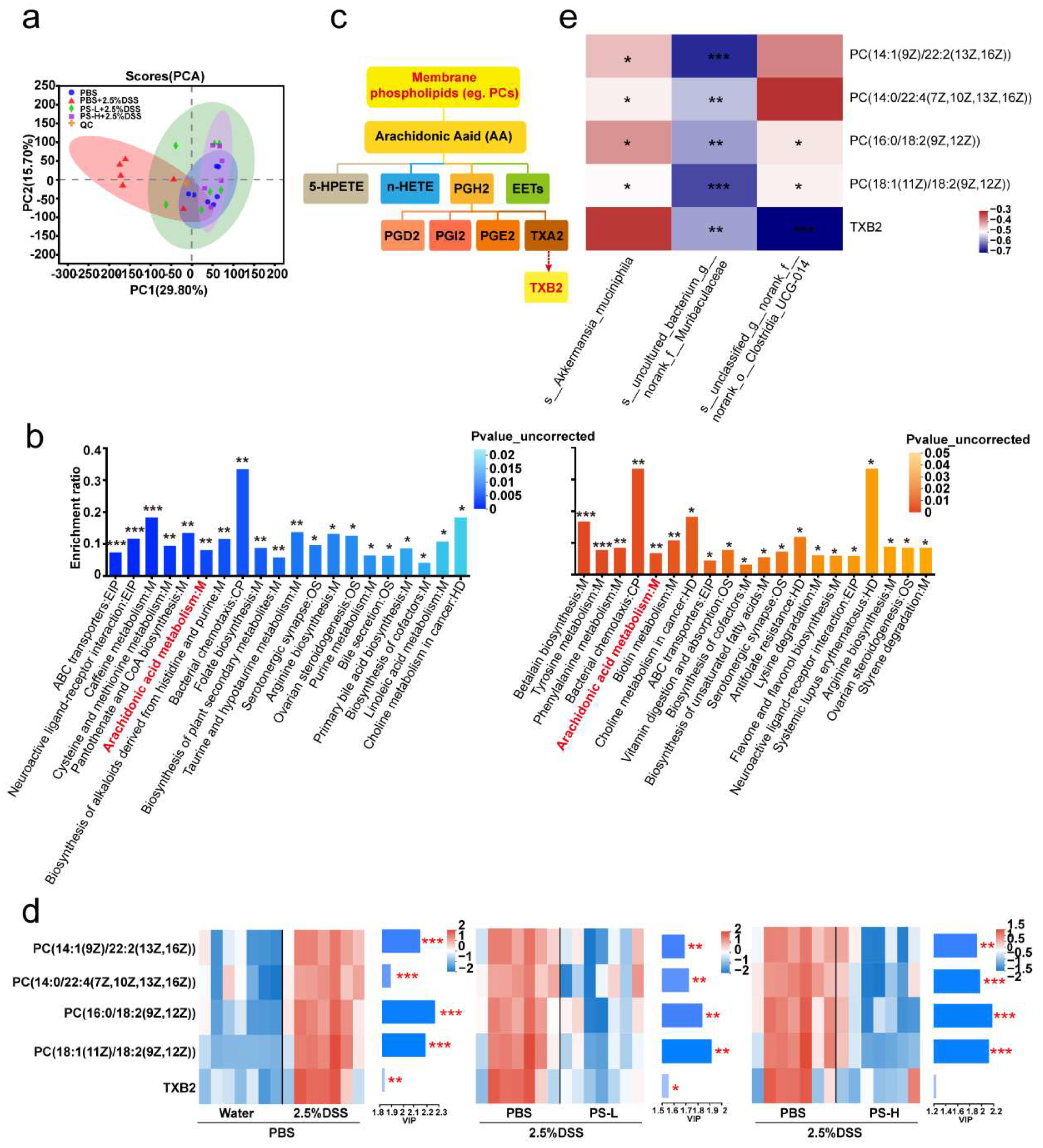 Nutrients 15 03054 g003 Nutrients 15 03054 g003