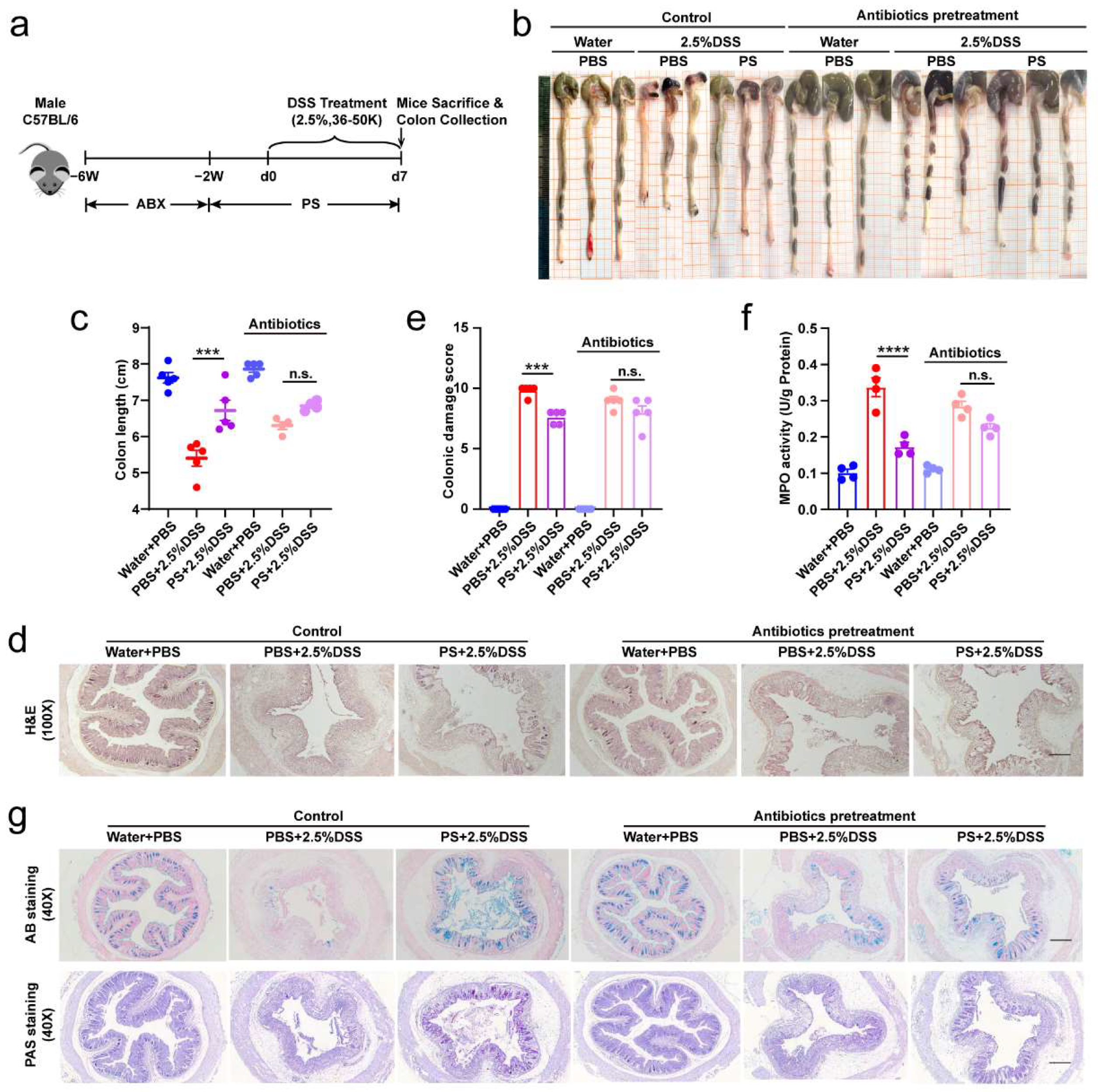 Nutrients 15 03054 g005 Nutrients 15 03054 g005