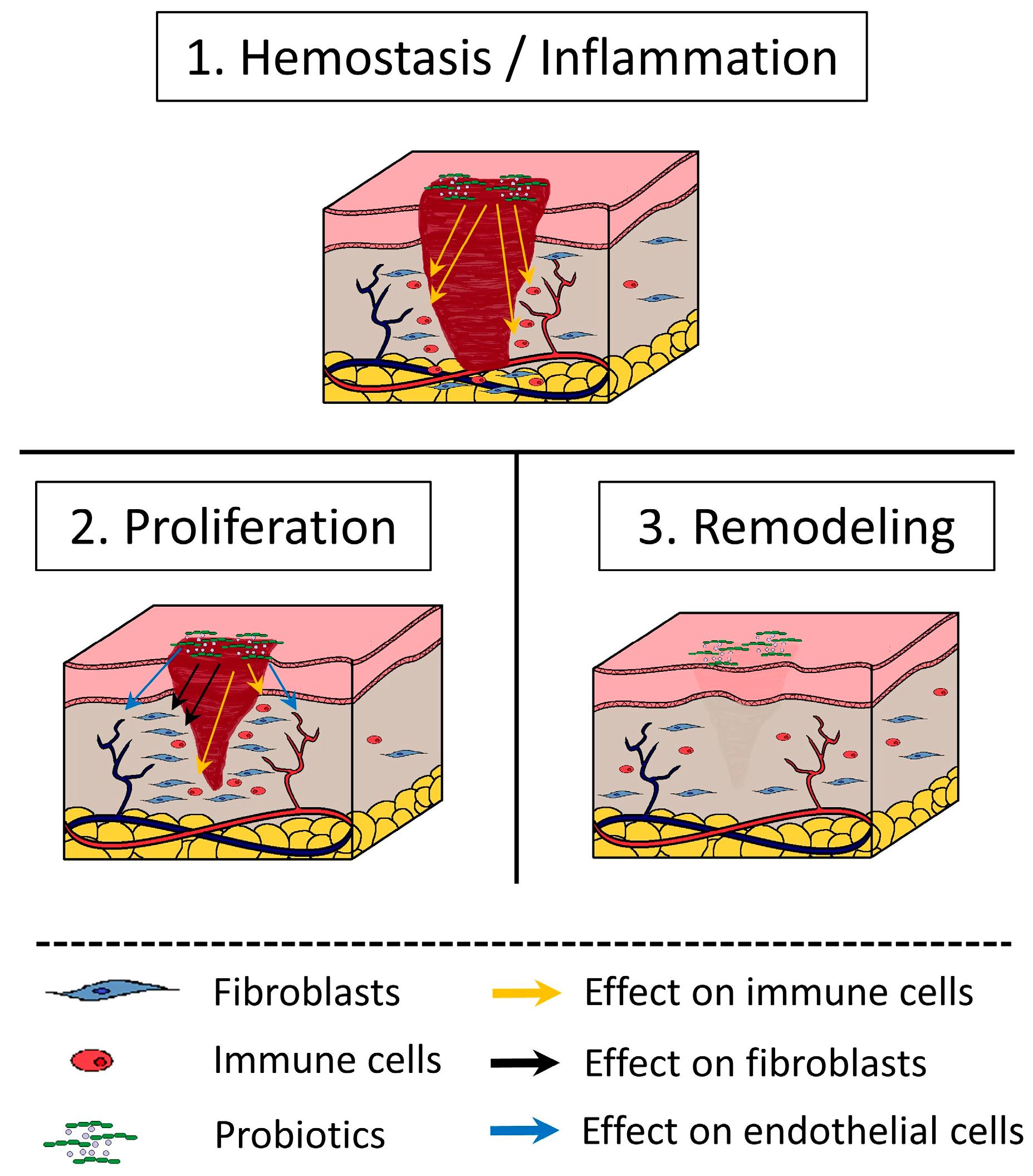 Nutrients 15 03055 g001
