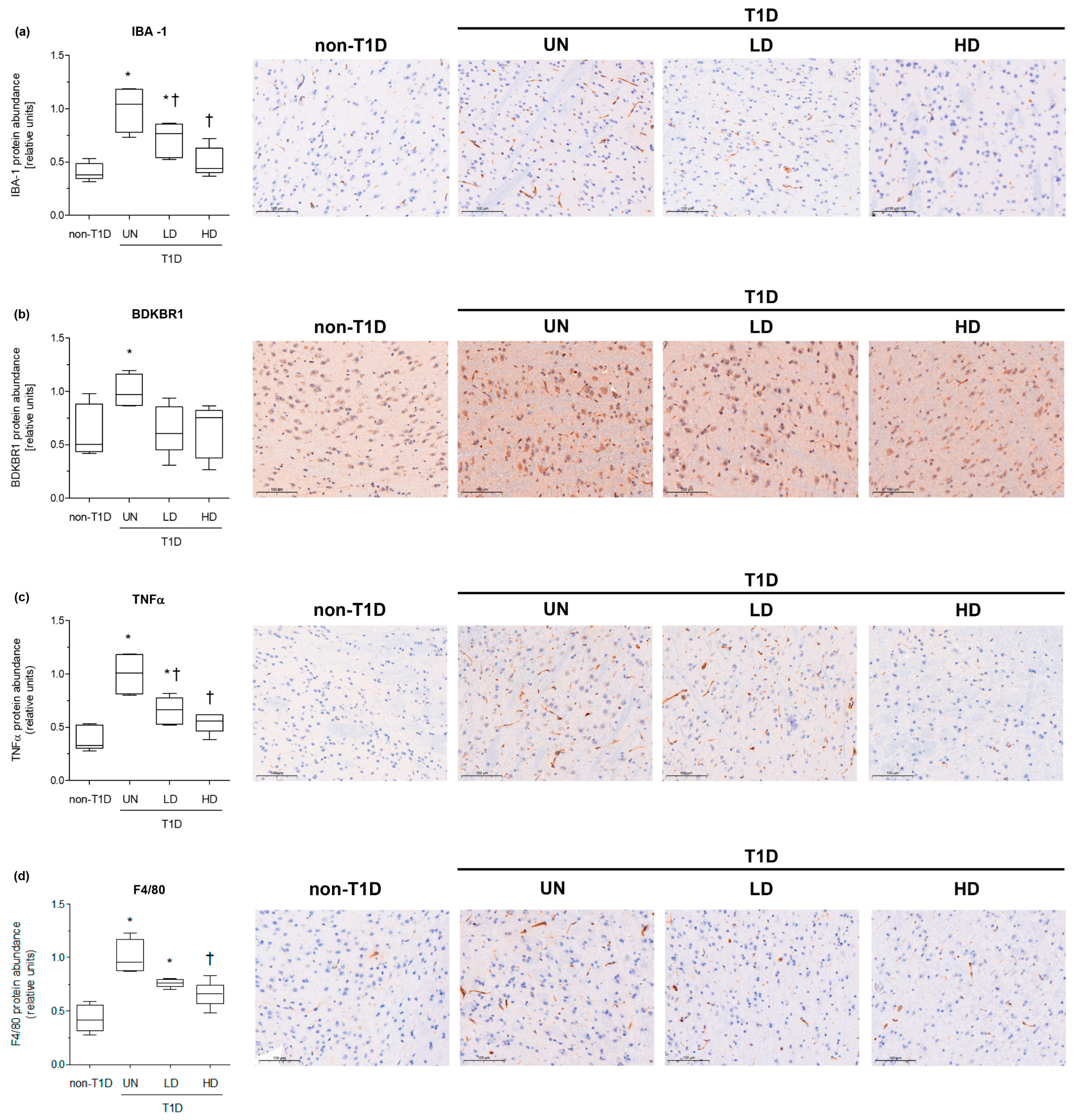 Nutrients 15 03083 g003 Nutrients 15 03083 g003