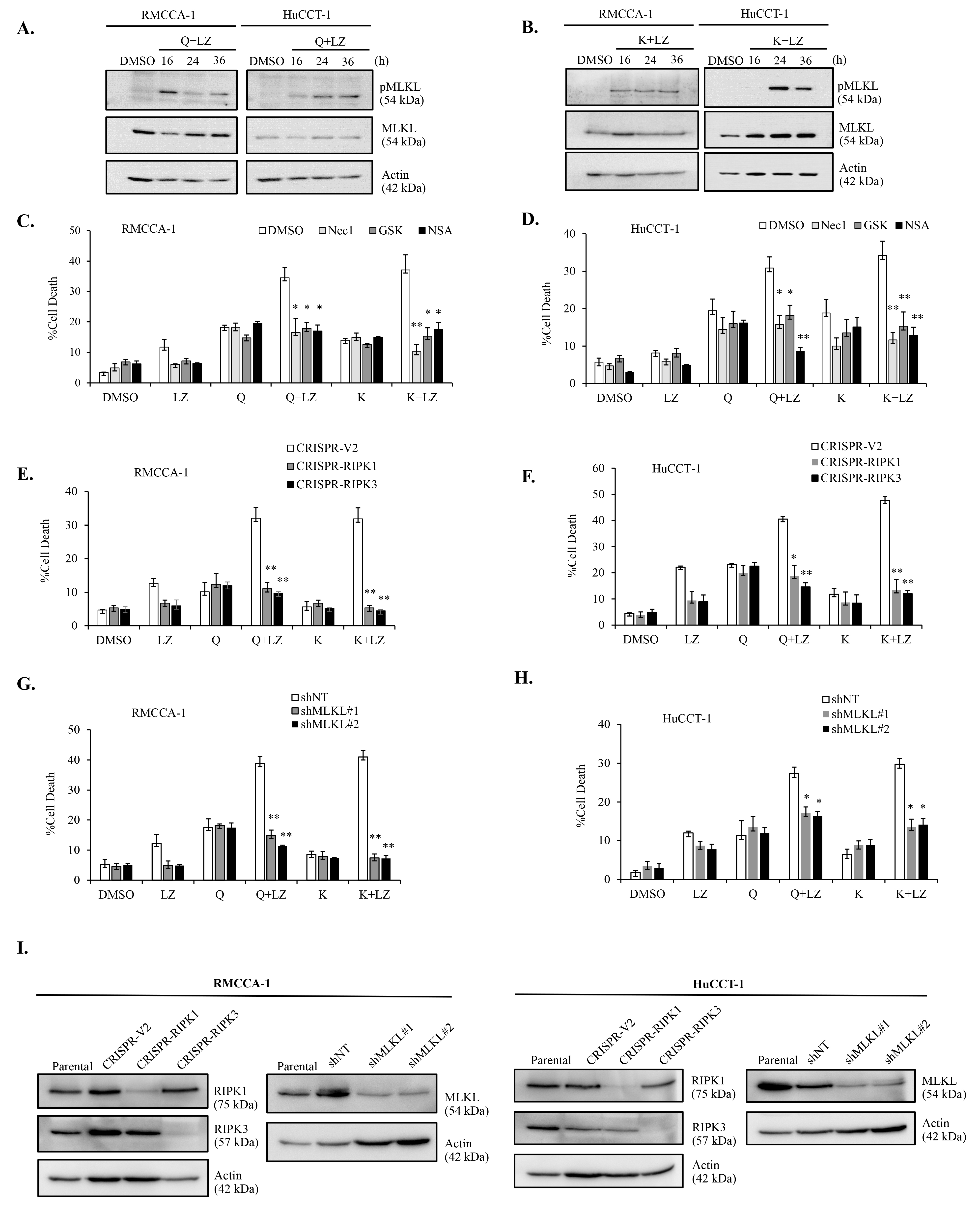 Nutrients 15 03090 g008