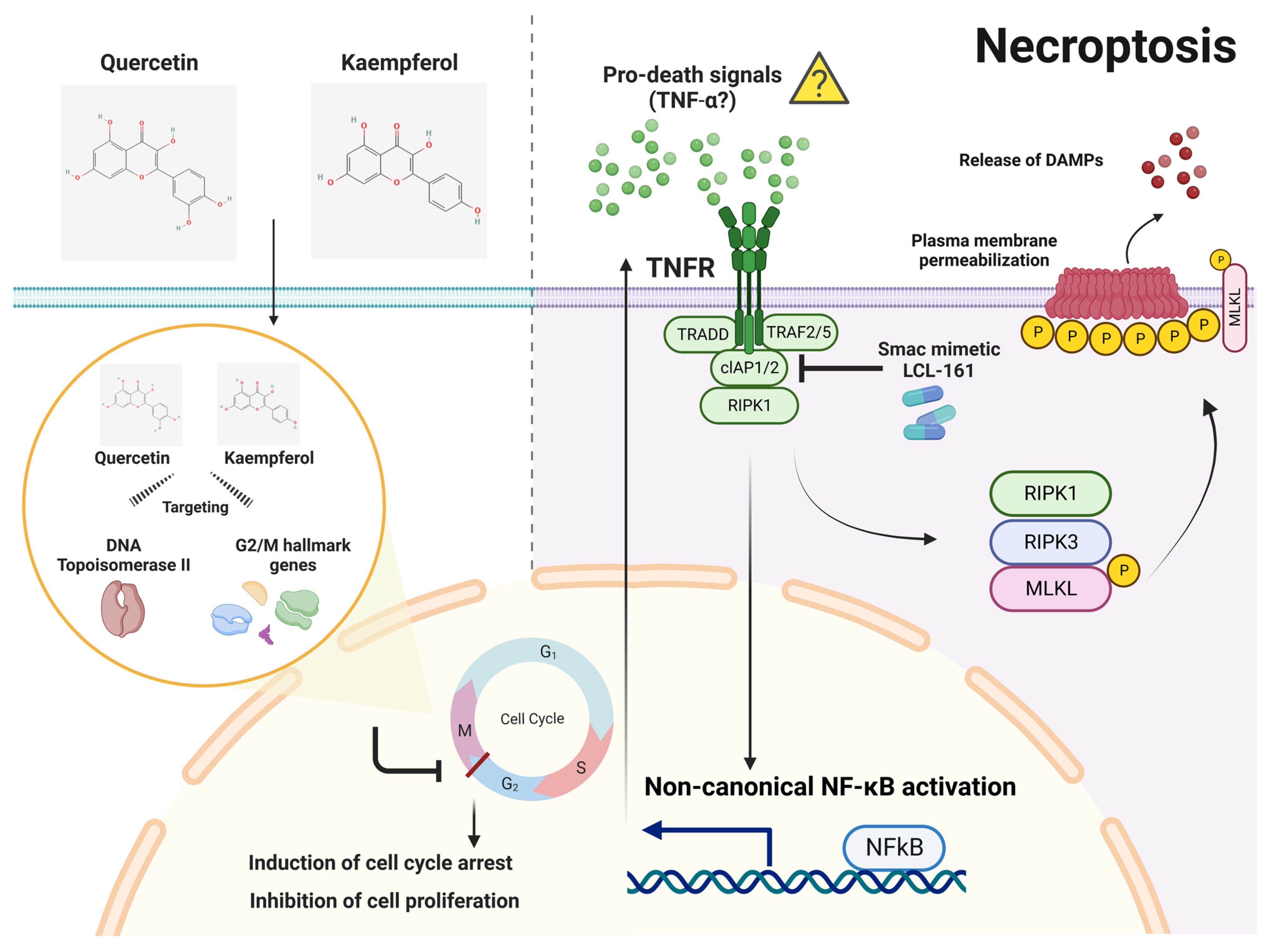 Nutrients 15 03090 g009