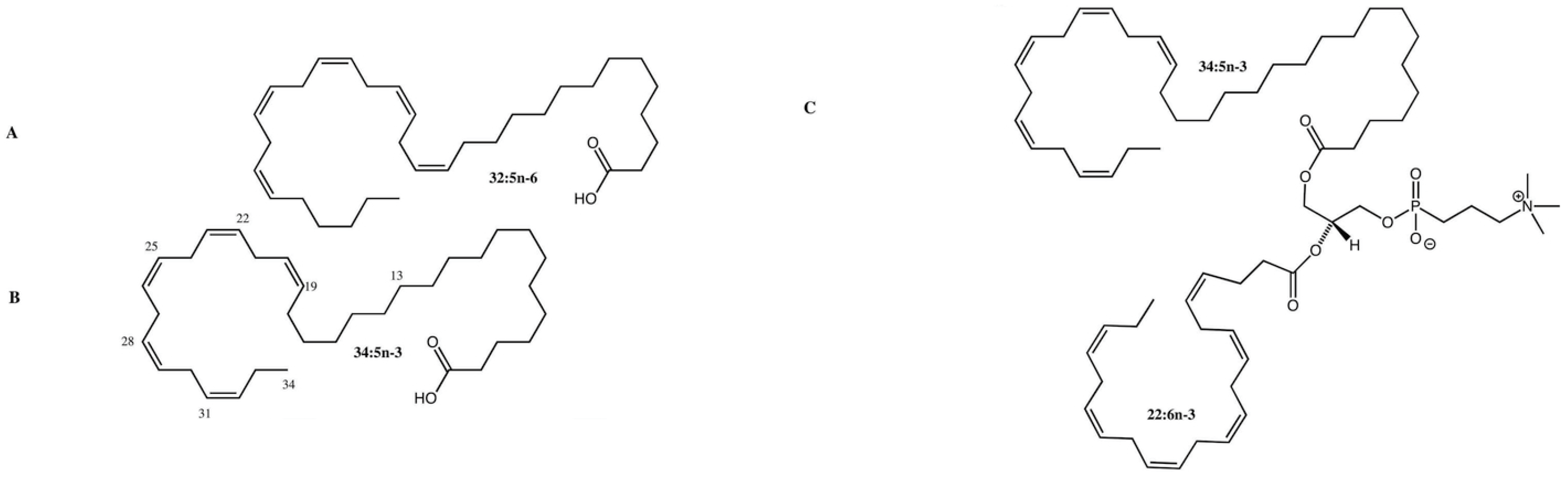 Nutrients 15 03096 g001