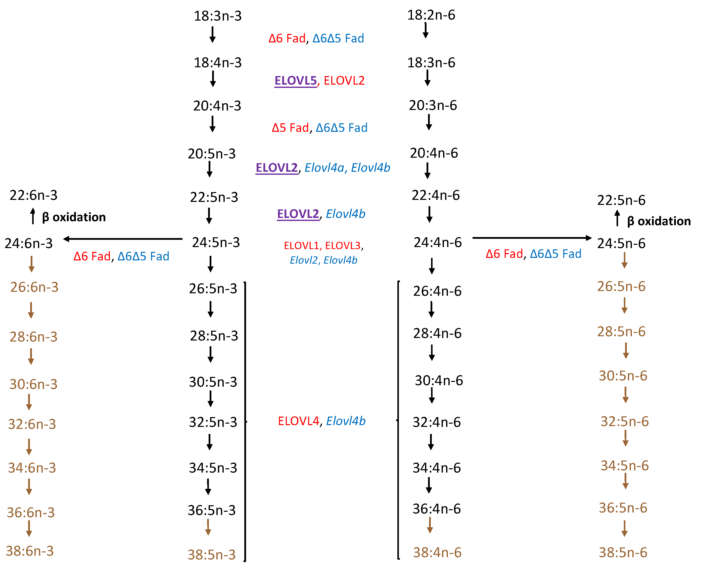 Nutrients 15 03096 g002