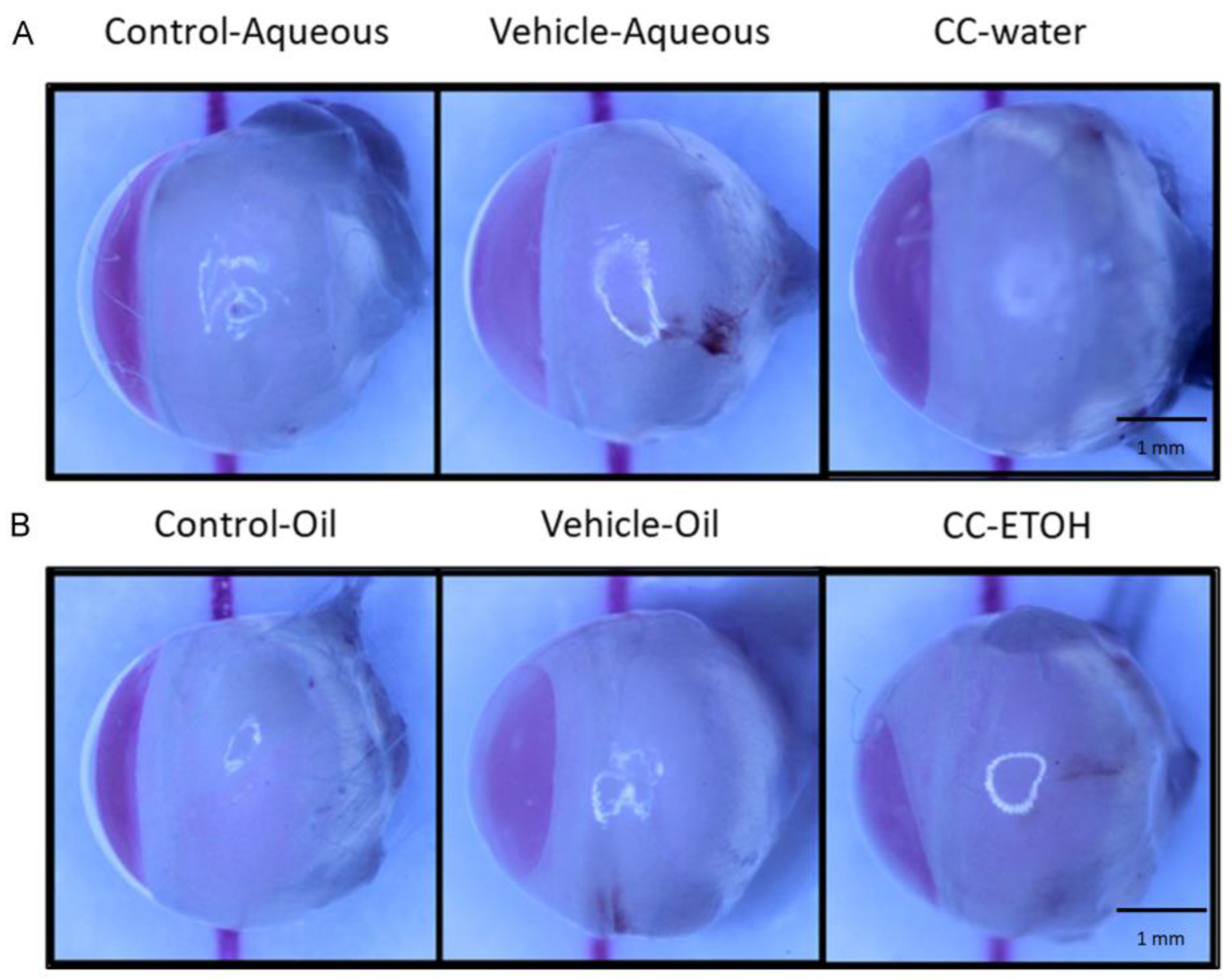 Nutrients 15 03103 g003