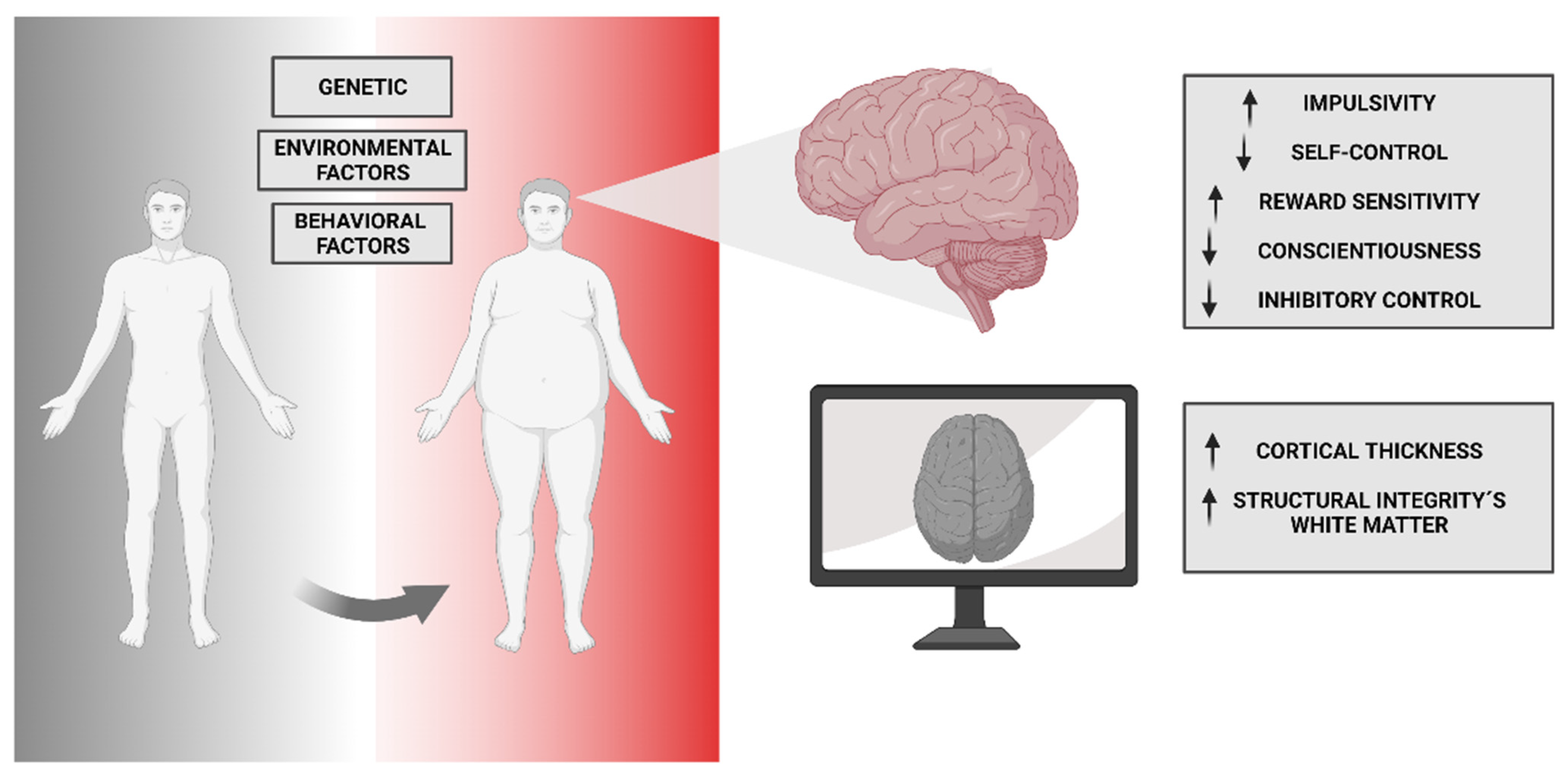 Nutrients 15 03106 g002