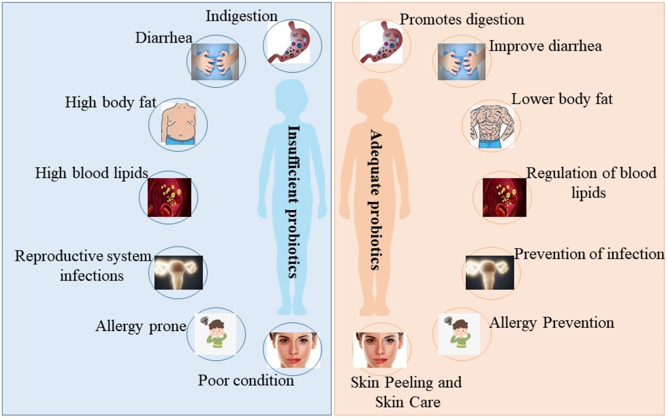Nutrients 15 03123 g001