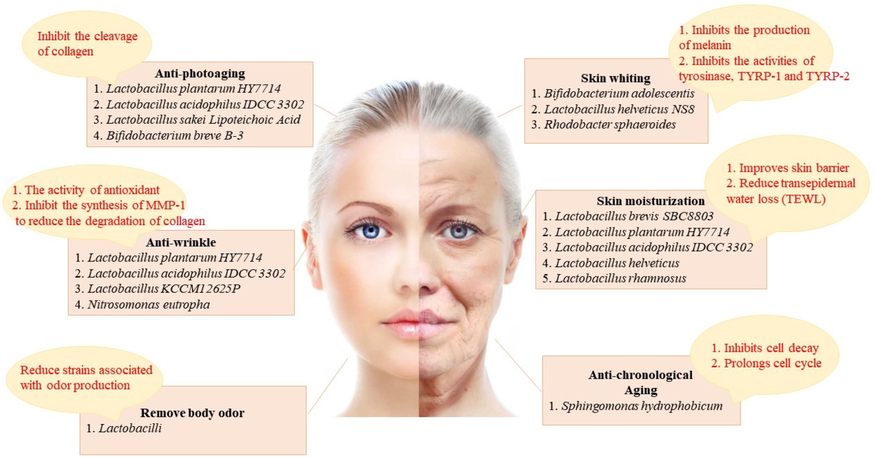 Nutrients 15 03123 g002