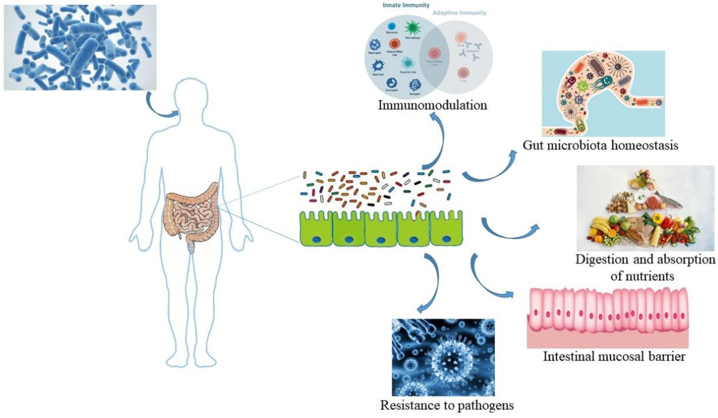 Nutrients 15 03123 g003