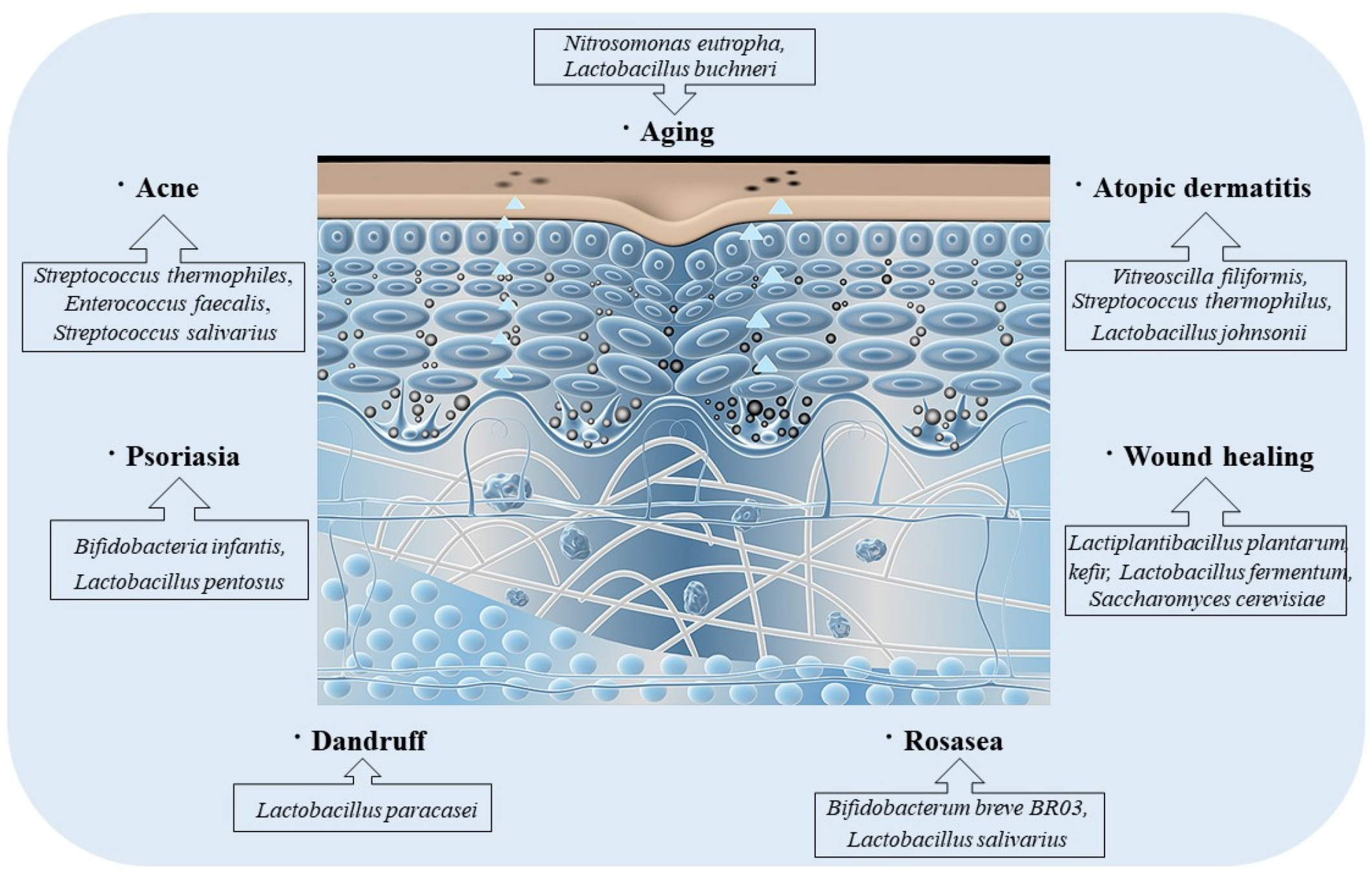 Nutrients 15 03123 g004