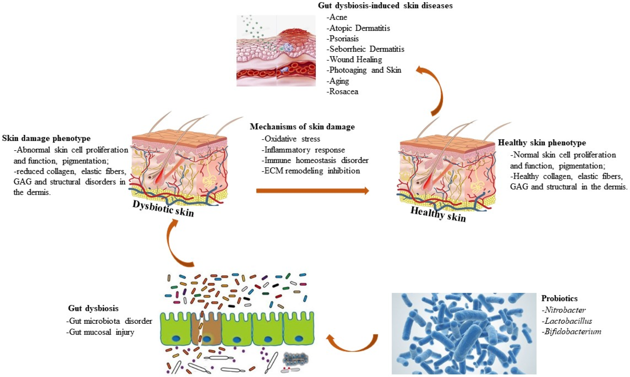 Nutrients 15 03123 g005