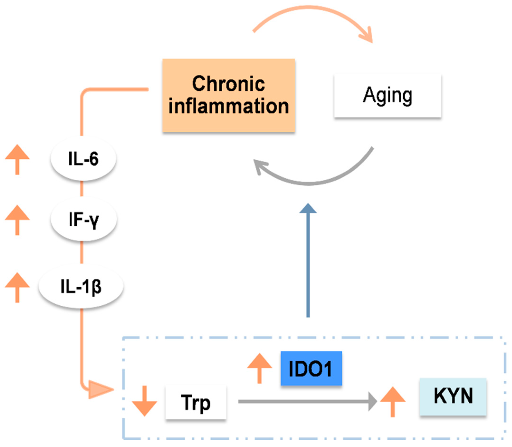 Nutrients 15 03132 g002