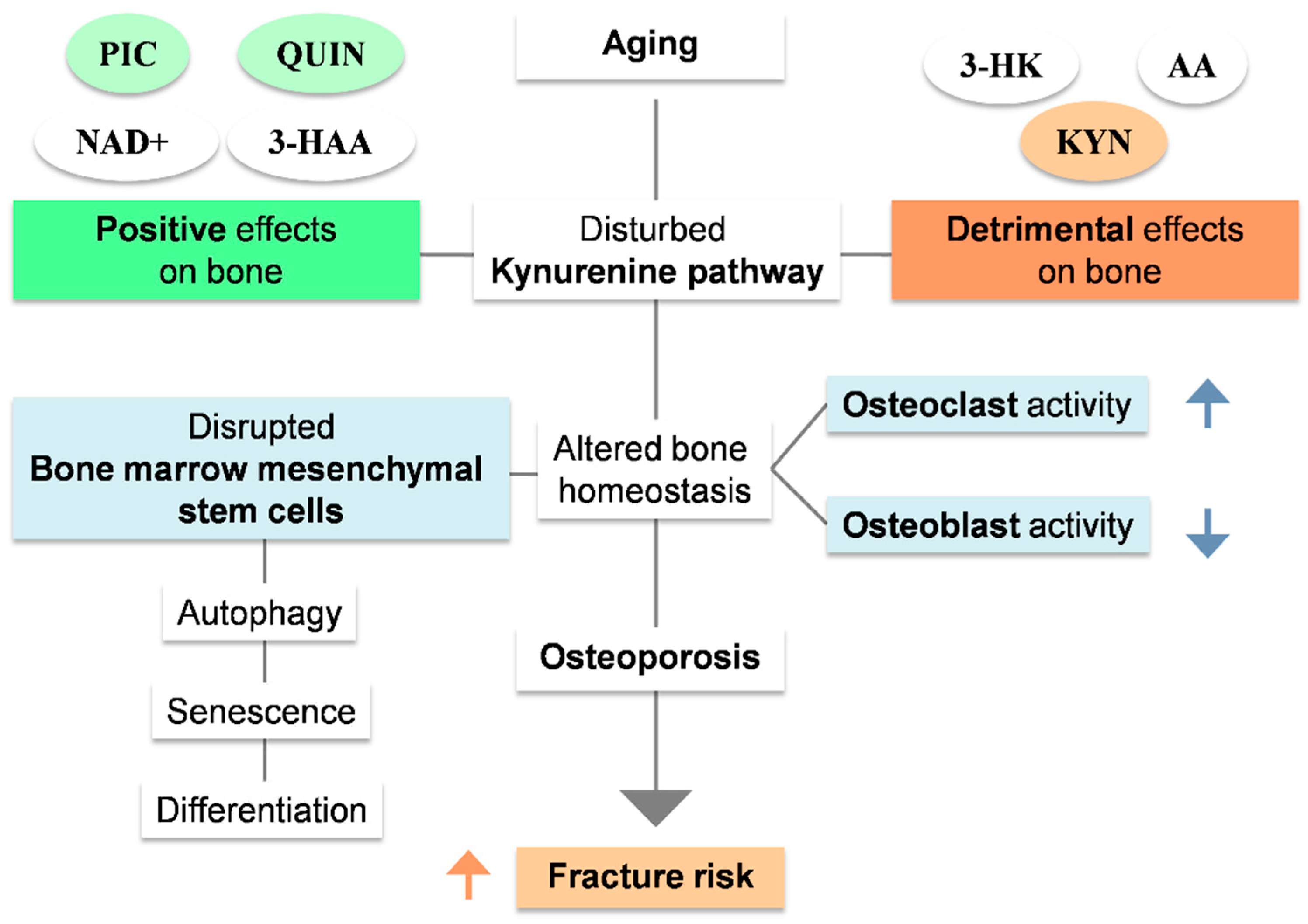 Nutrients 15 03132 g003