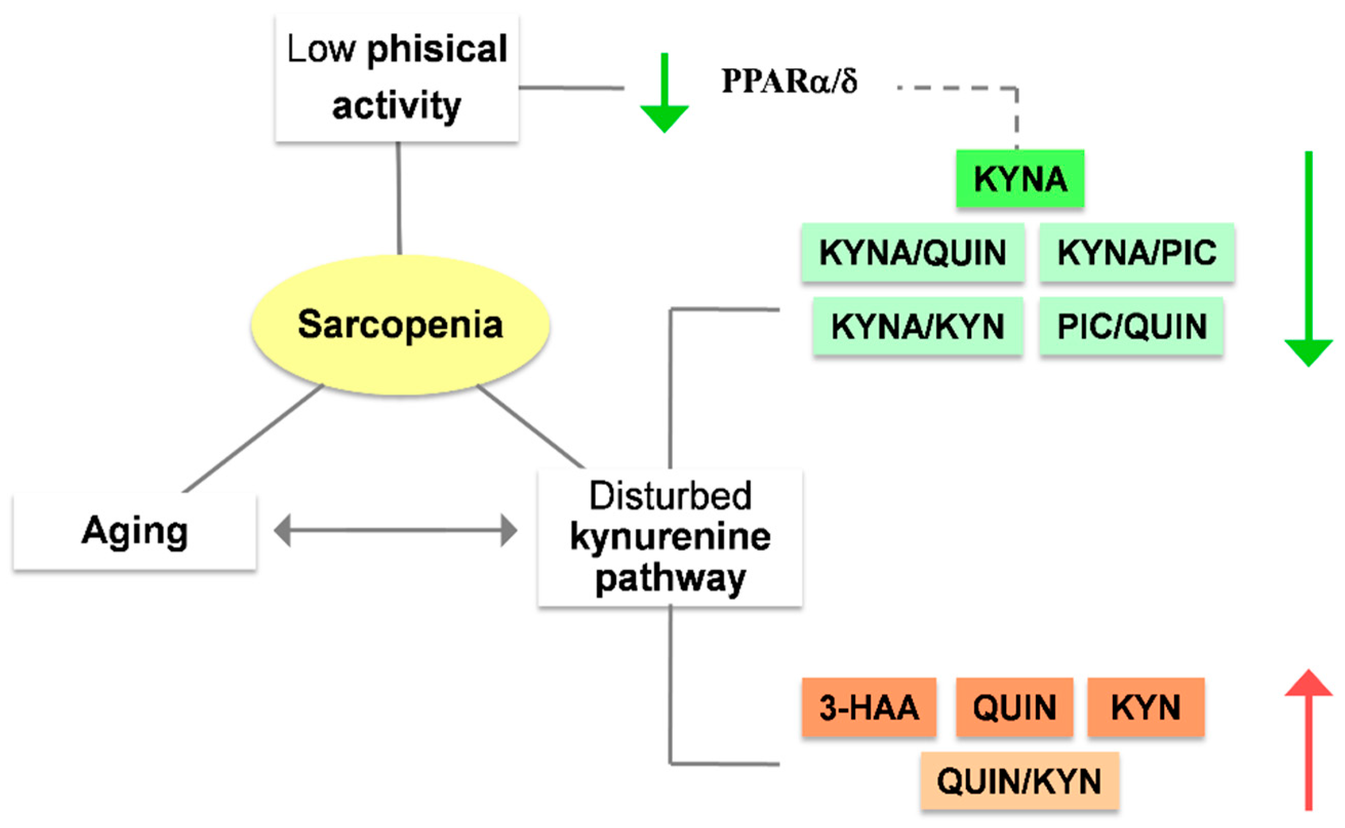 Nutrients 15 03132 g004