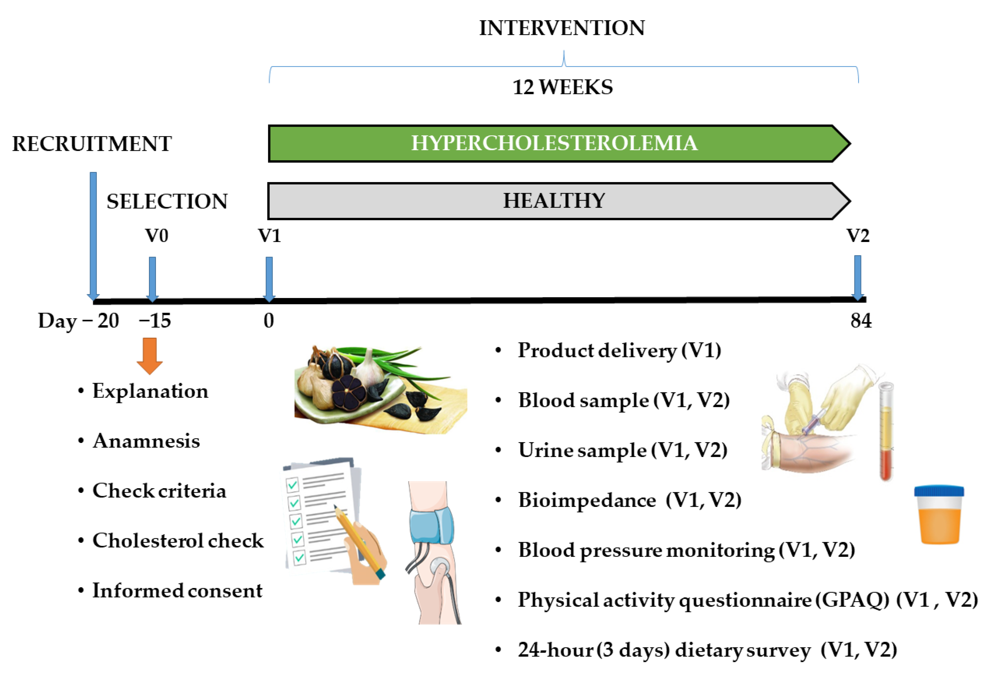 Nutrients 15 03138 g001 Nutrients 15 03138 g001