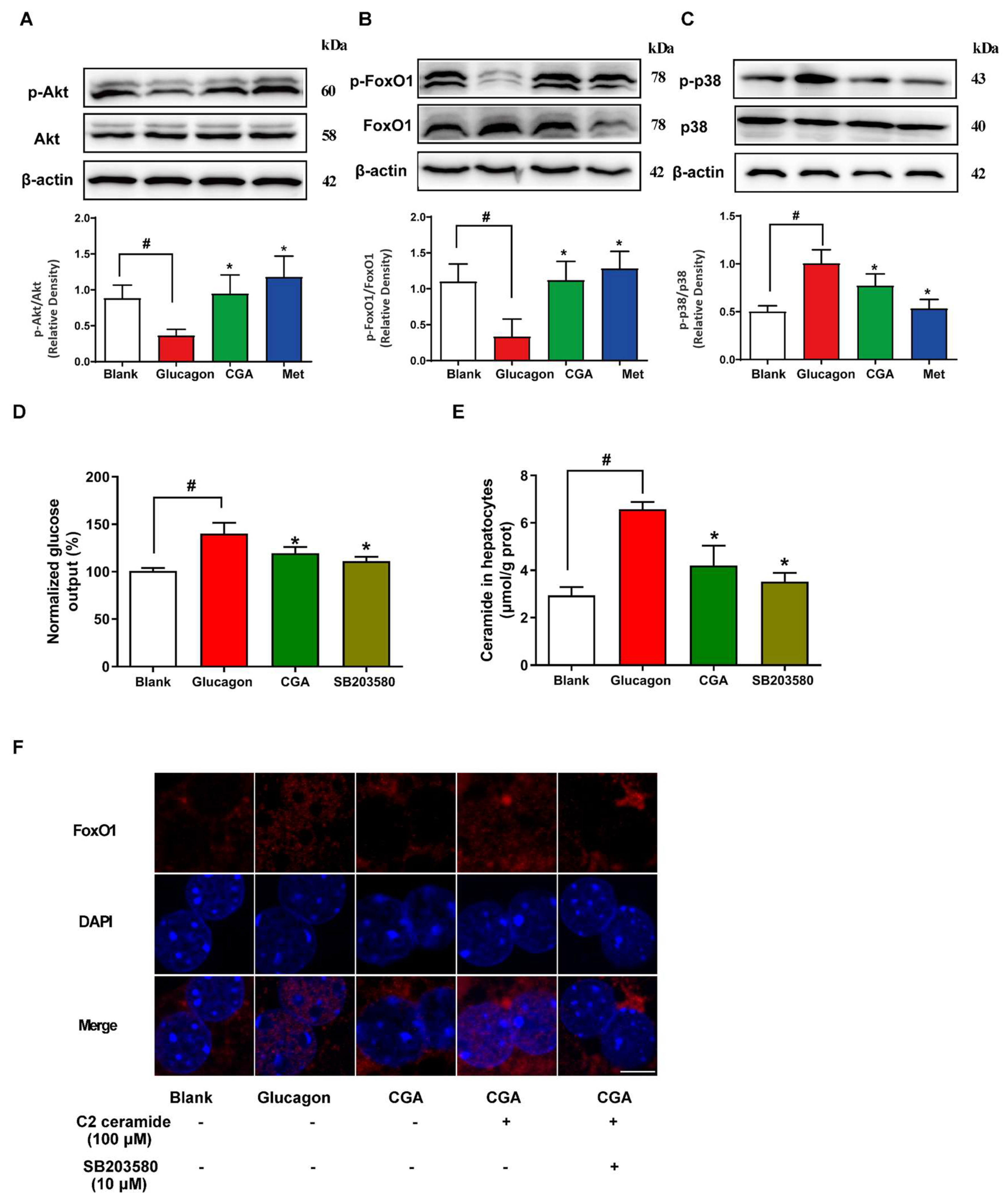 Nutrients 15 03173 g005