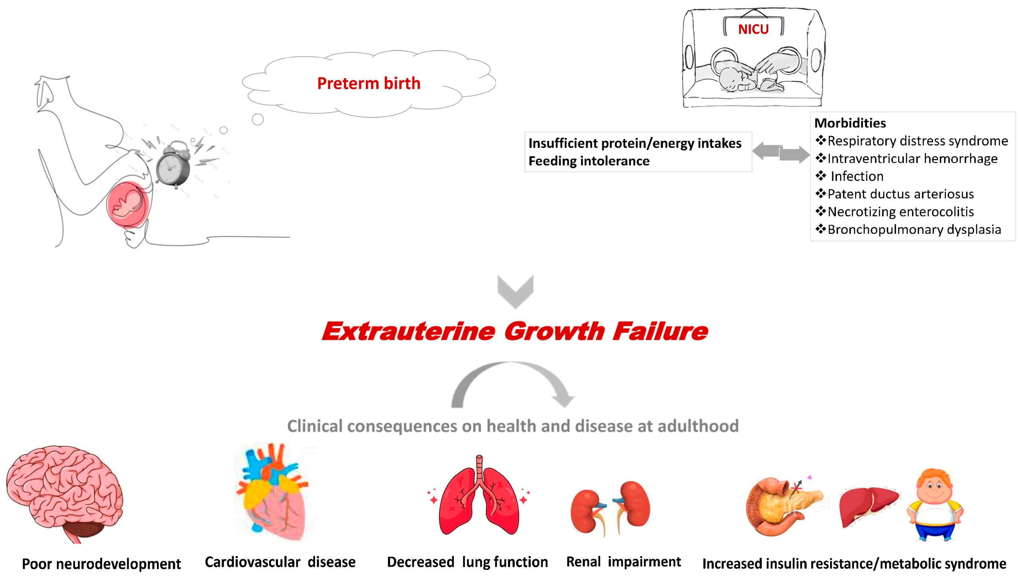 Nutrients 15 03231 g001