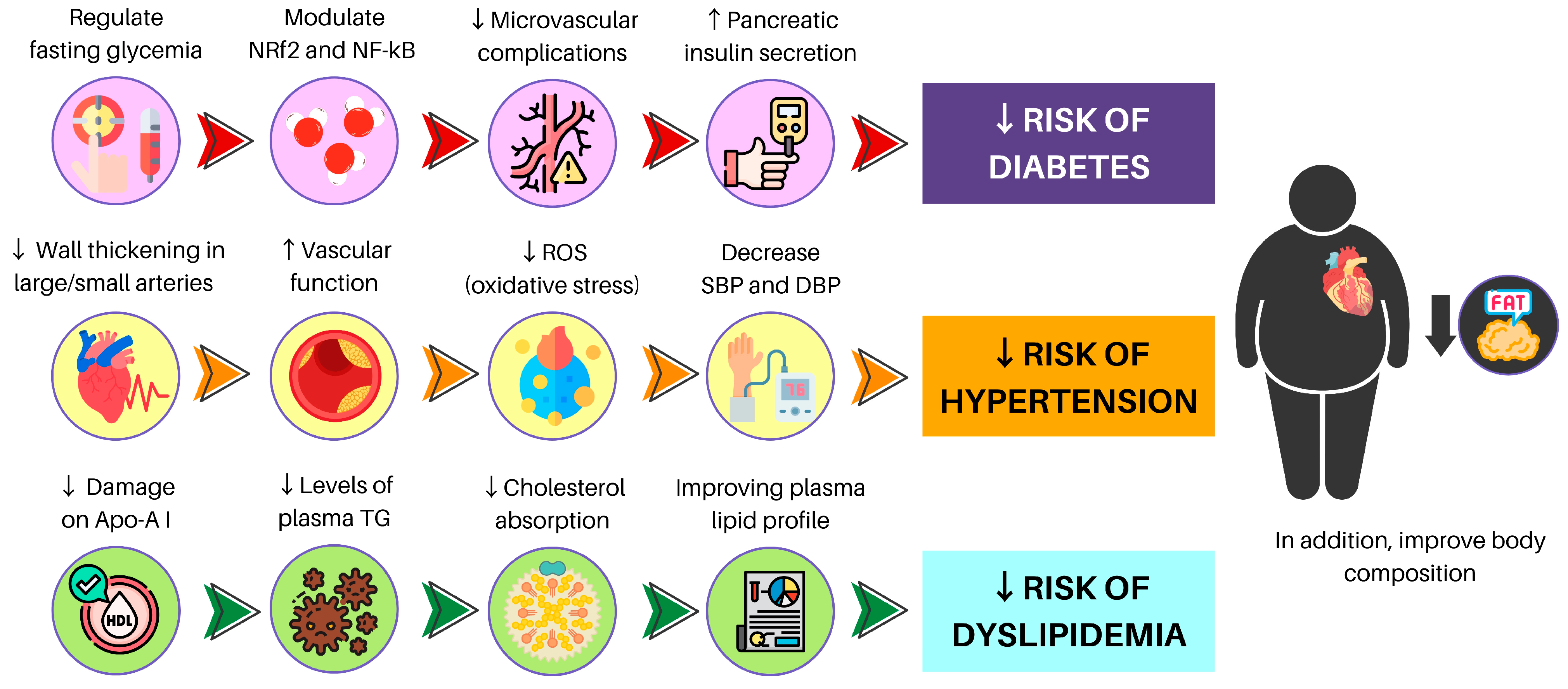 Nutrients 15 03244 g003 Nutrients 15 03244 g003