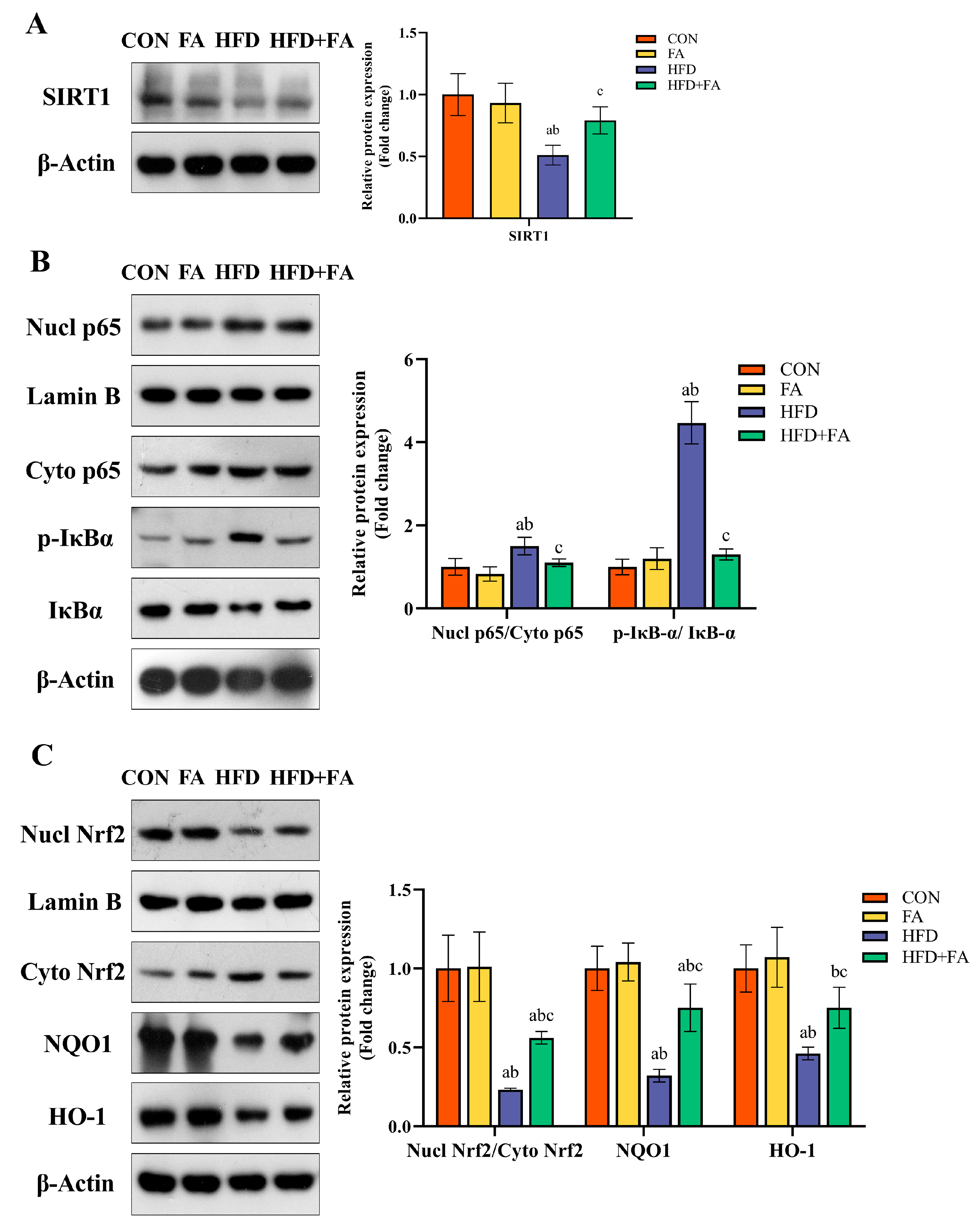 Nutrients 15 03263 g008