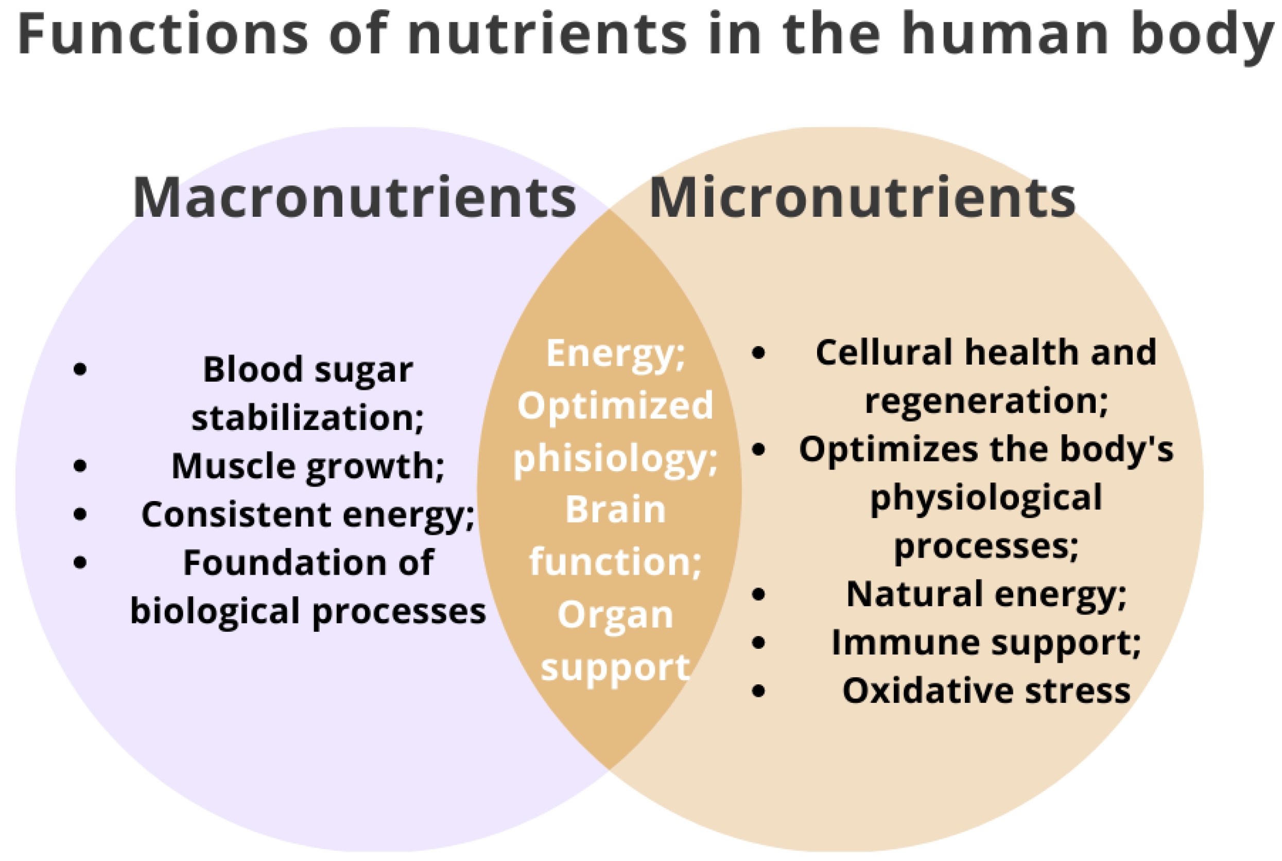 Nutrients 15 03264 g001