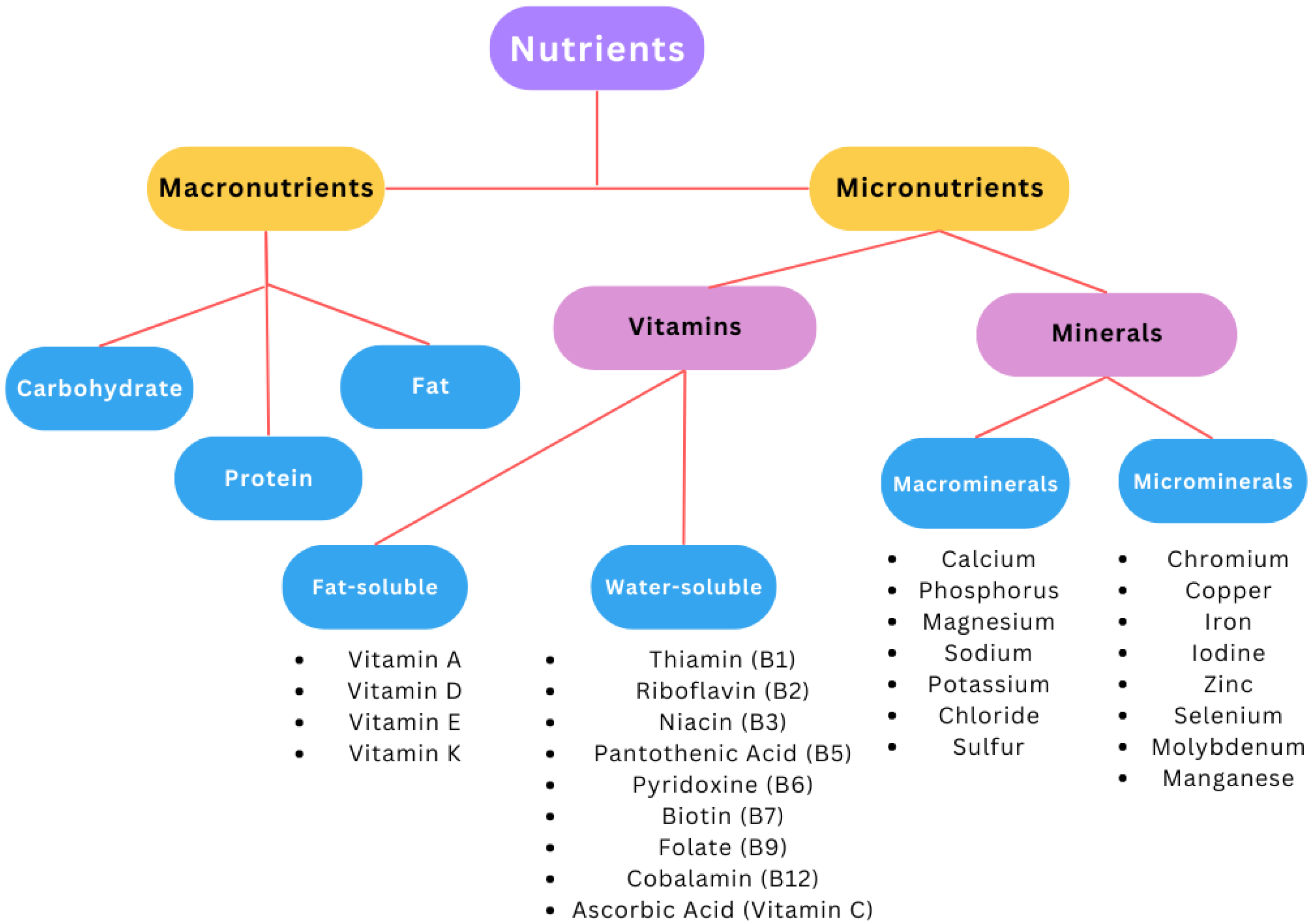 Nutrients 15 03264 g002