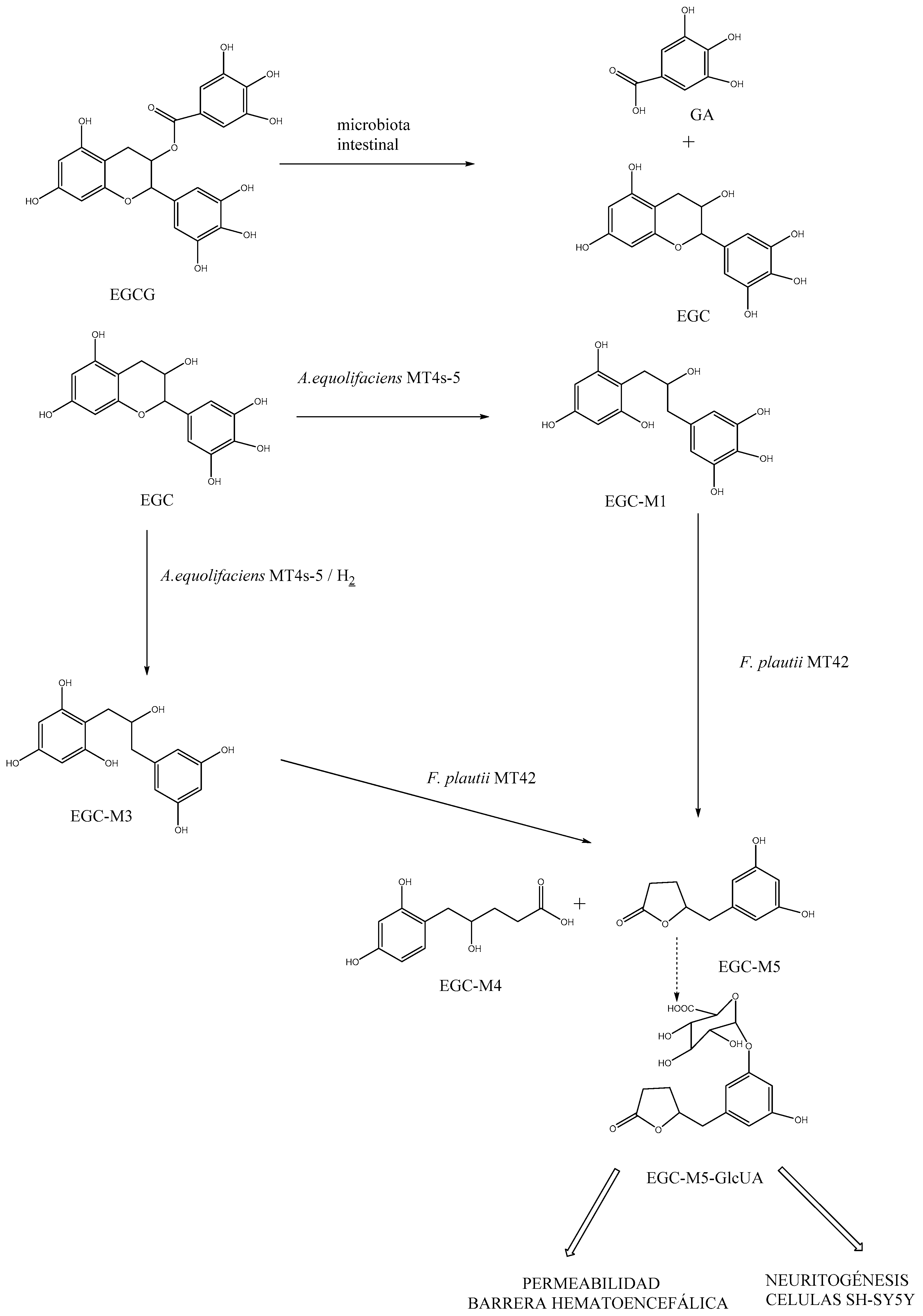 Nutrients 15 03265 g002
