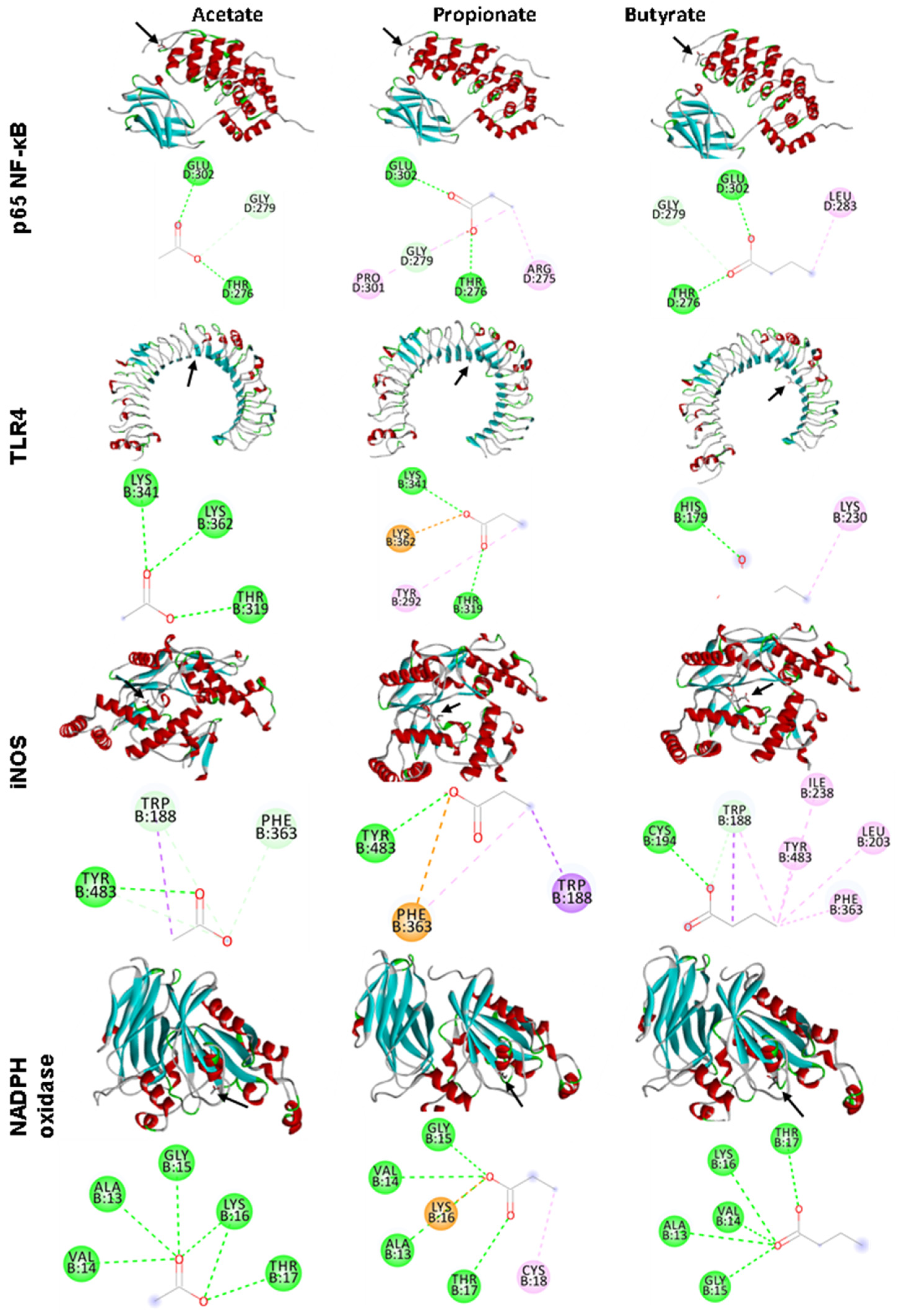 Nutrients 15 03281 g005