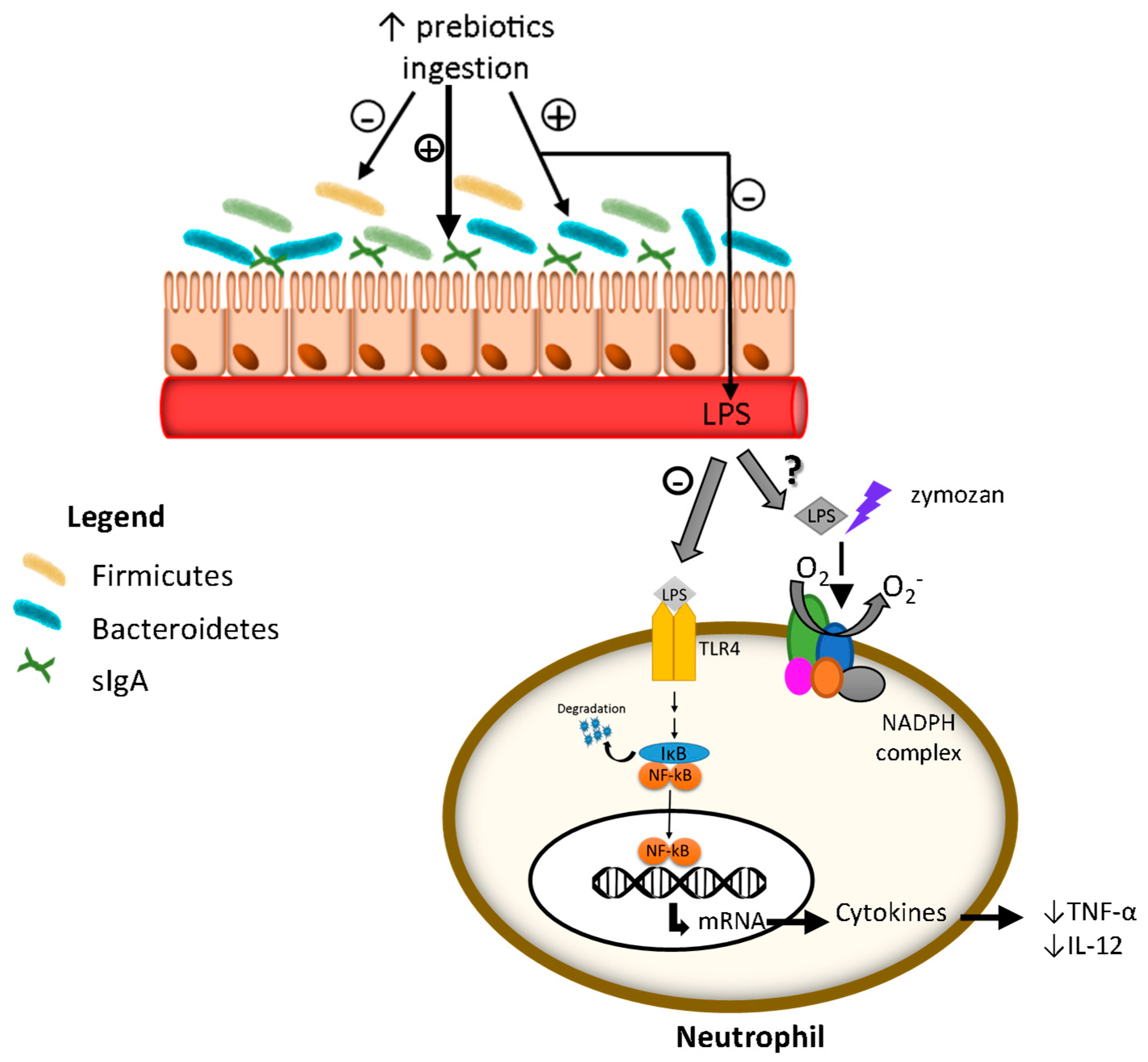 Nutrients 15 03281 g007
