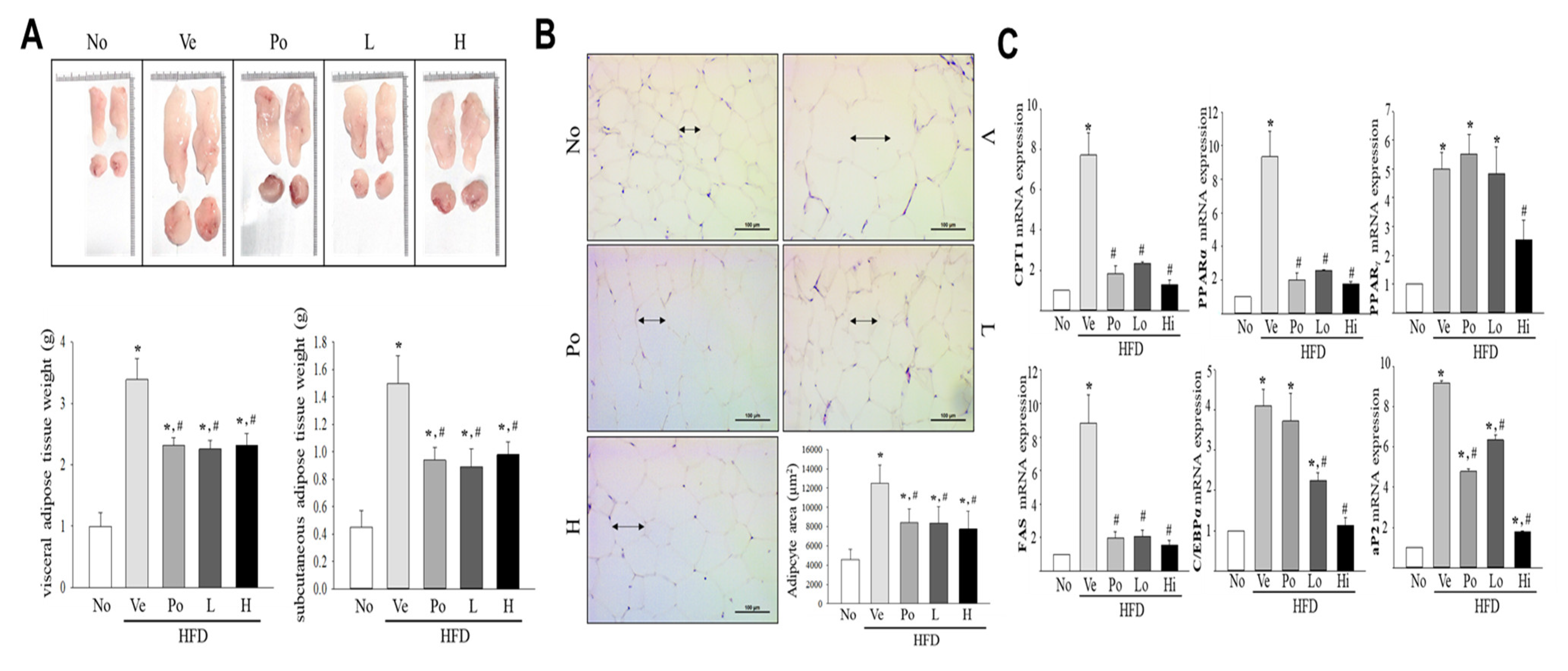 Nutrients 15 03292 g002