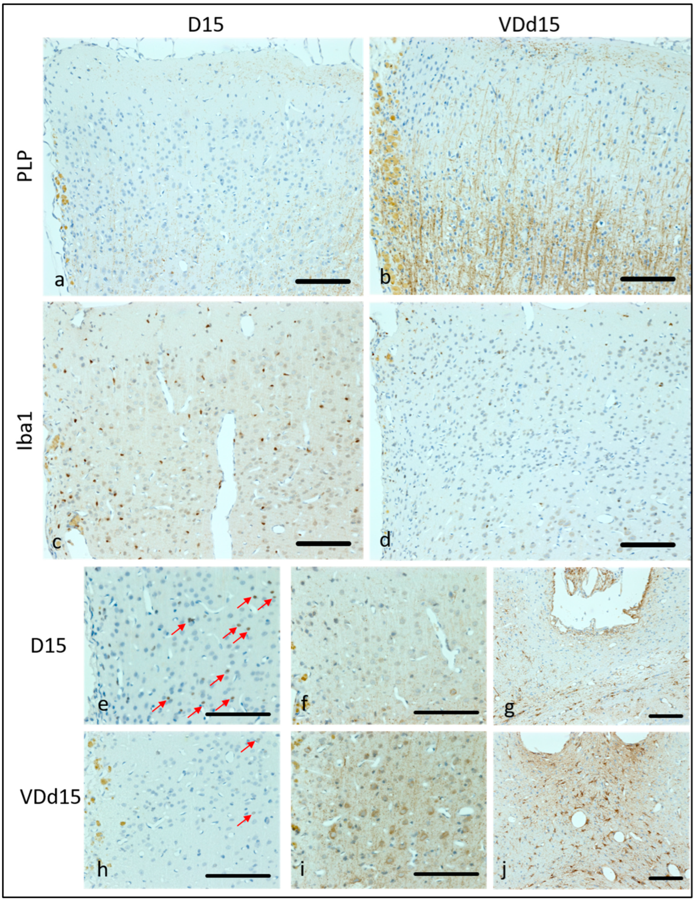 Nutrients 15 03309 g002