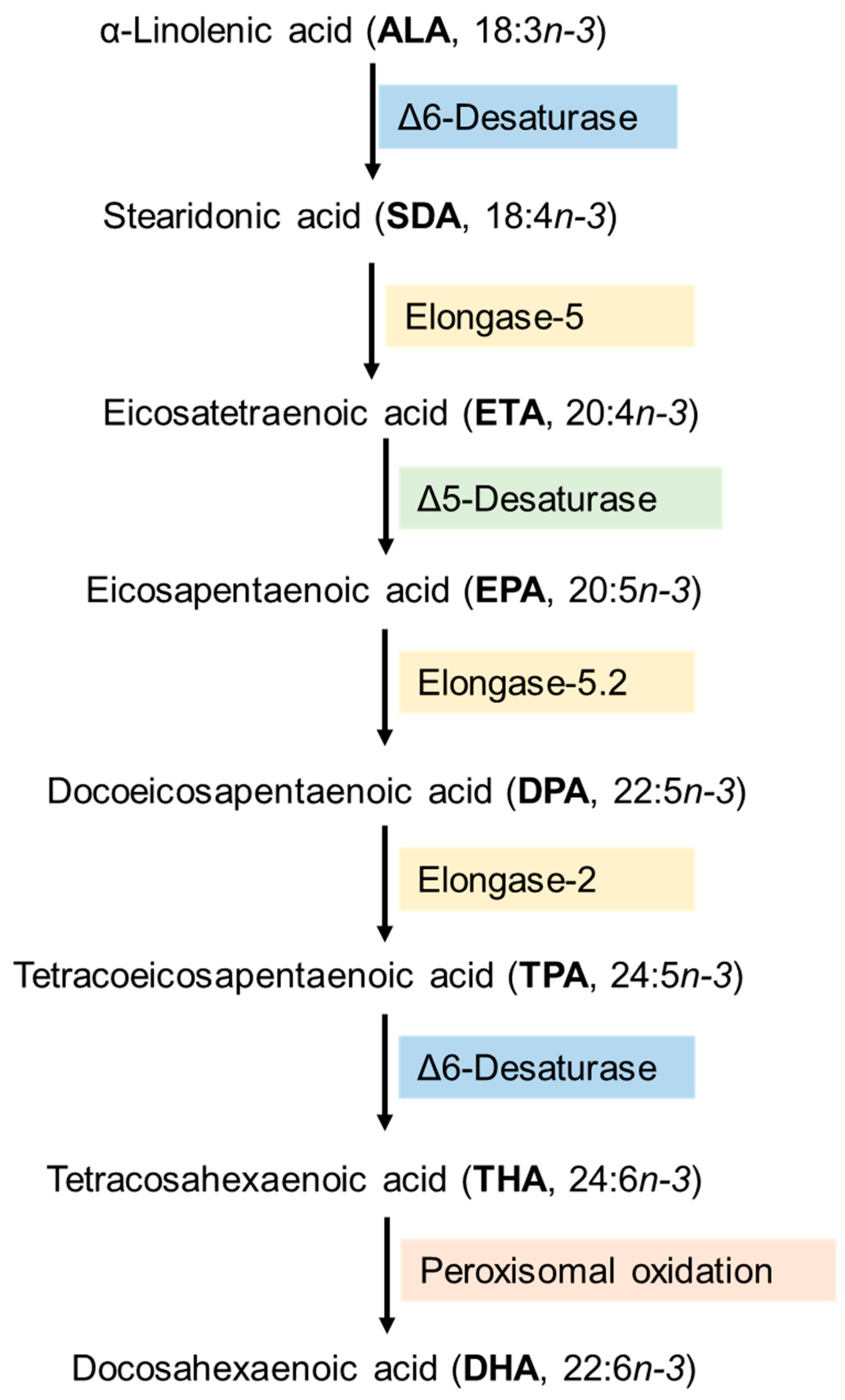 Nutrients 15 03317 g001