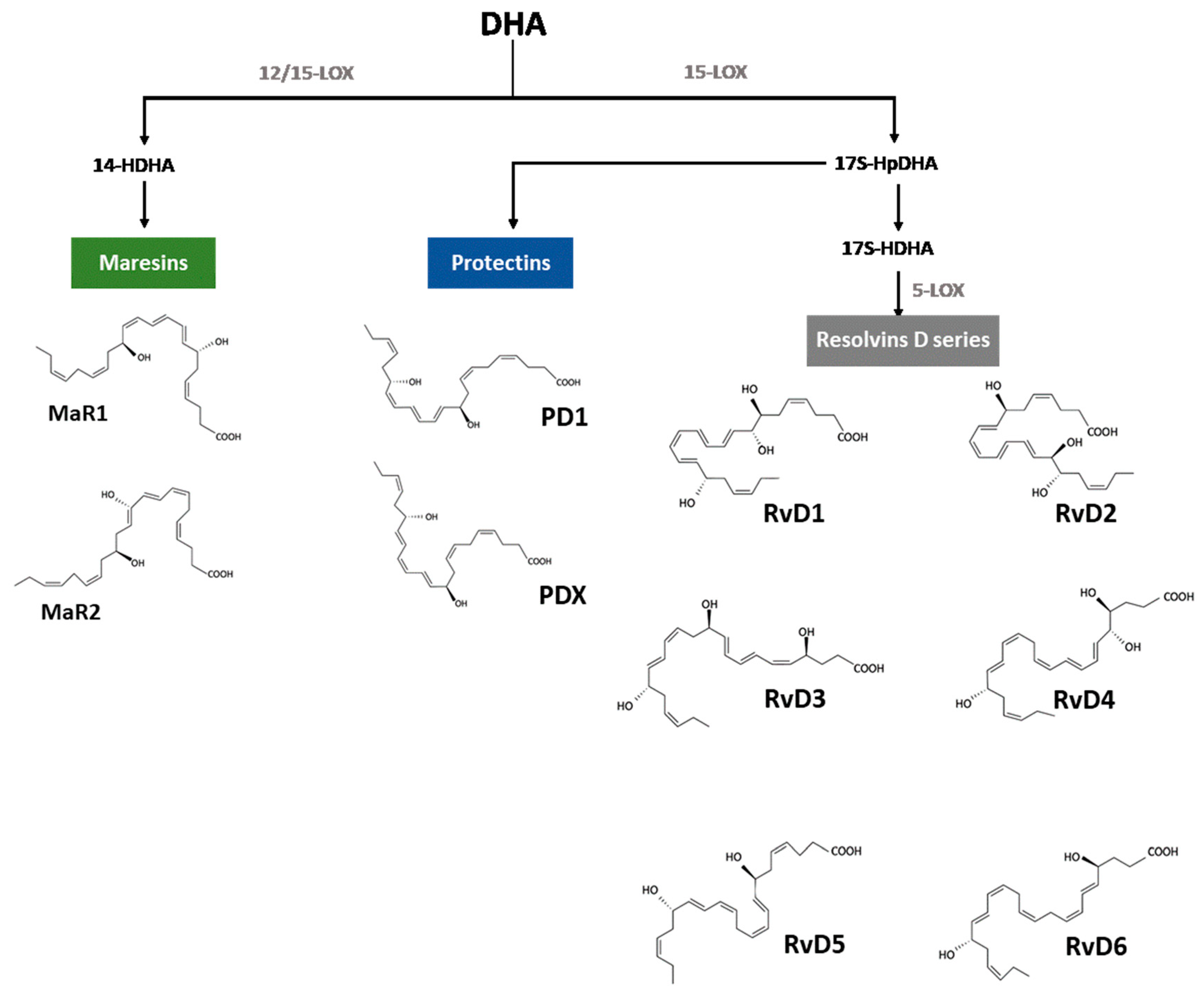 Nutrients 15 03317 g002