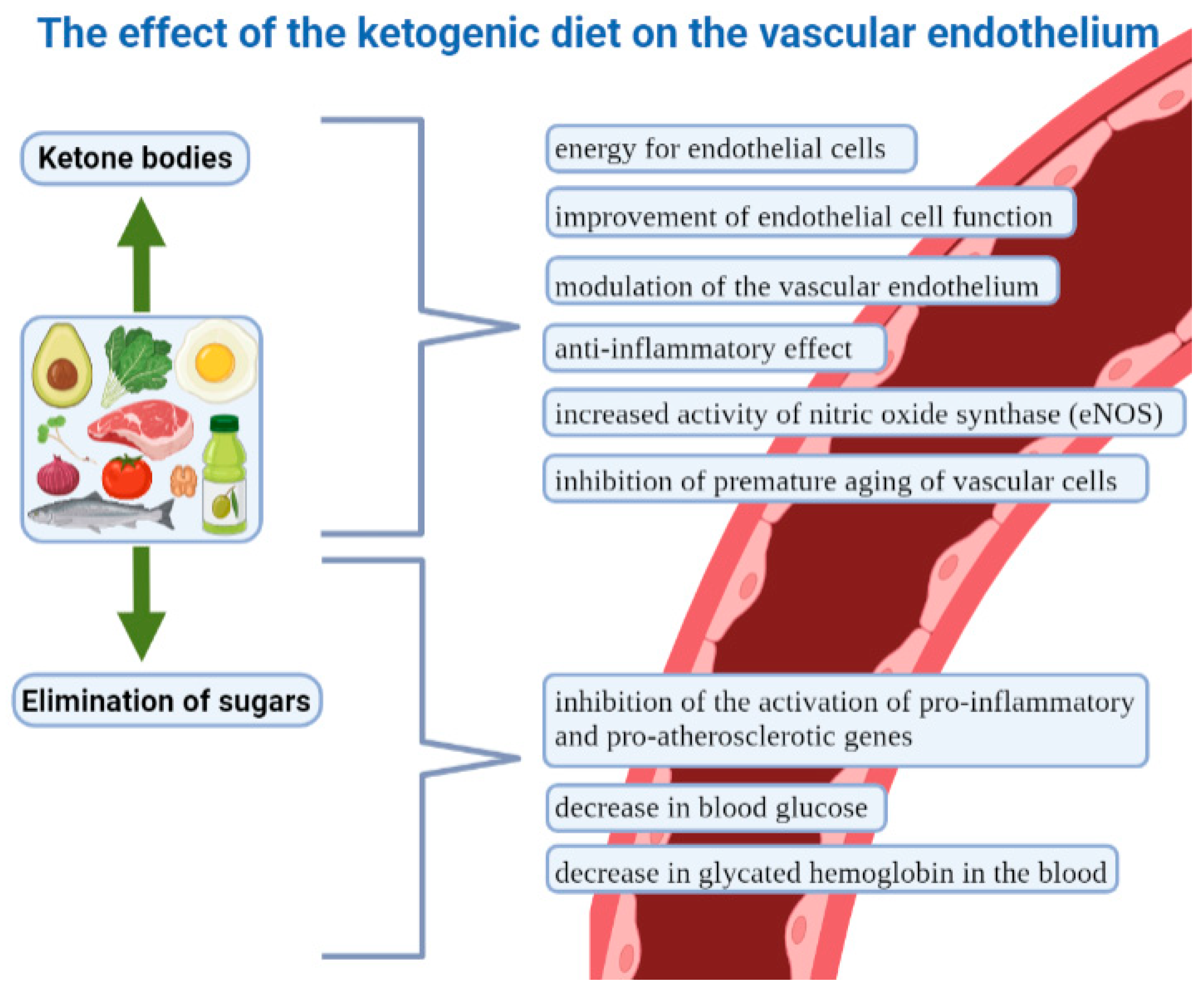 Nutrients 15 03368 g002 Nutrients 15 03368 g002