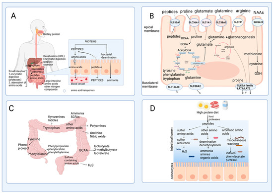 Nutrients 15 03378 g002