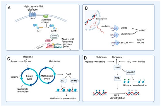 Nutrients 15 03378 g003