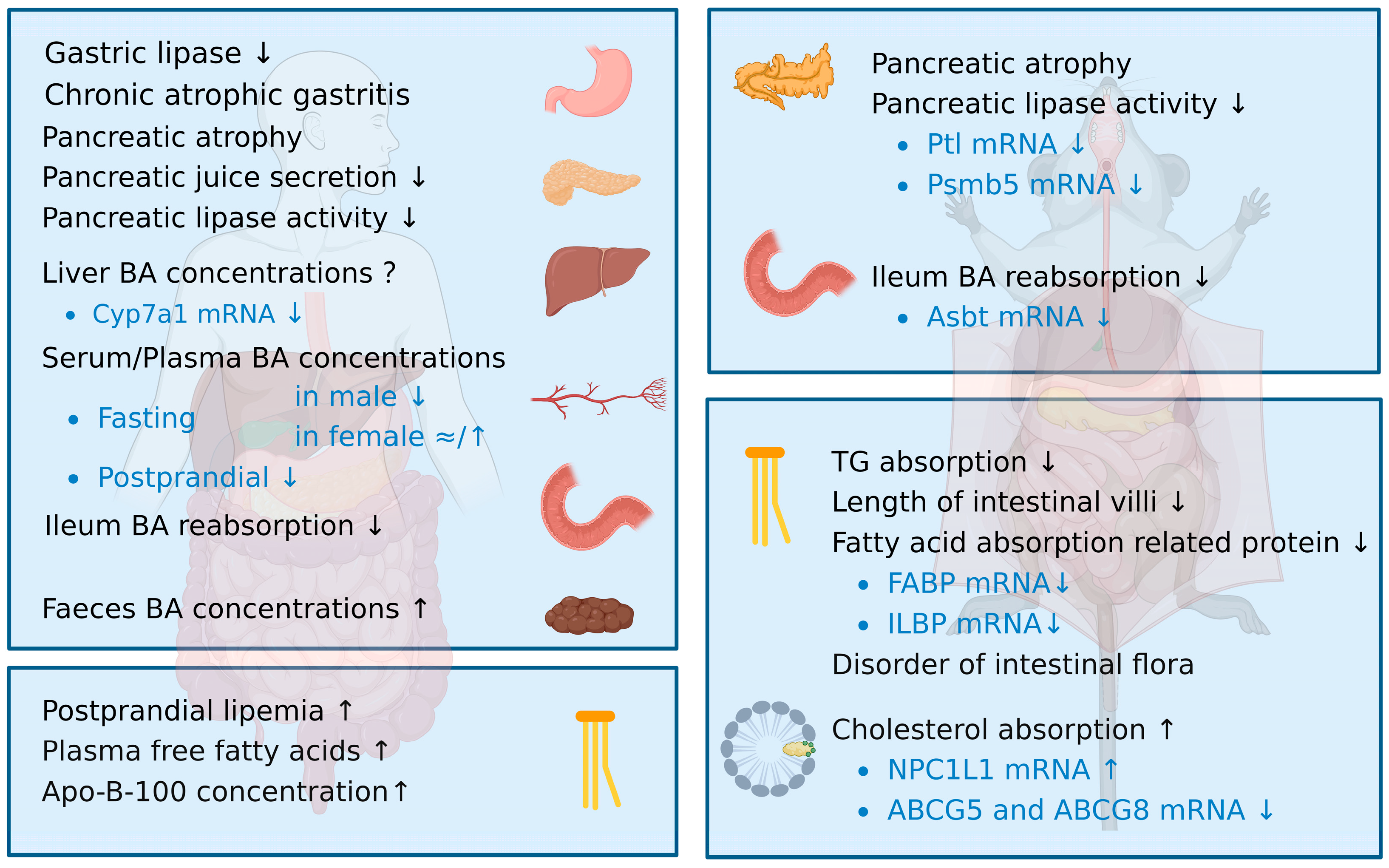 Nutrients 15 03433 g001