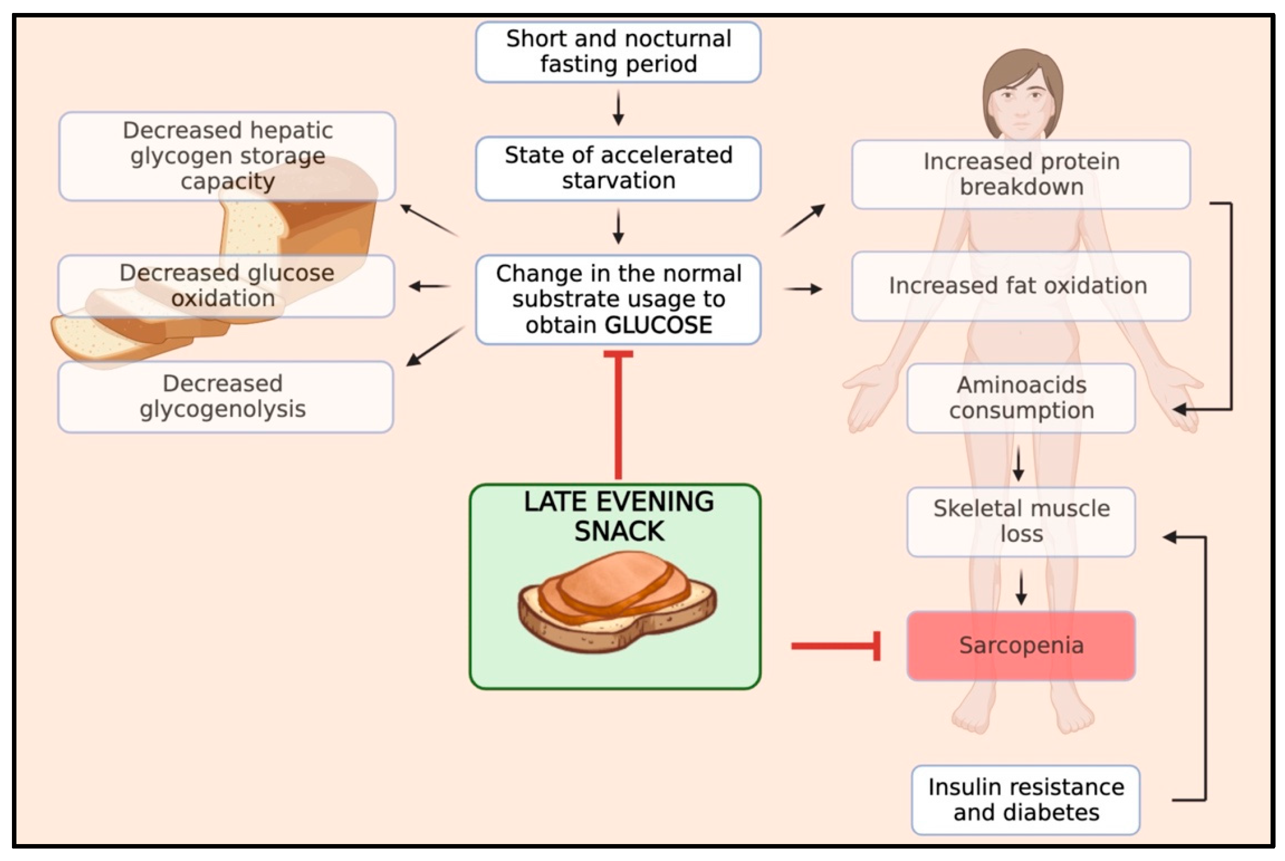 Nutrients 15 03471 g001 Nutrients 15 03471 g001