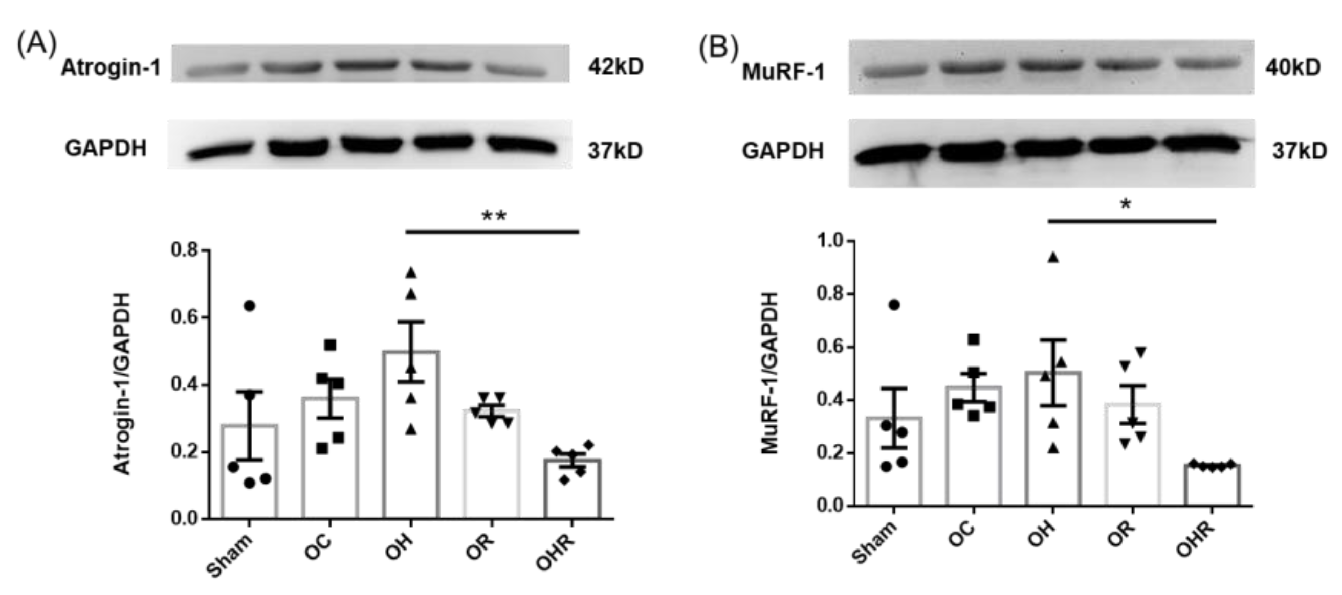 Nutrients 15 03514 g006