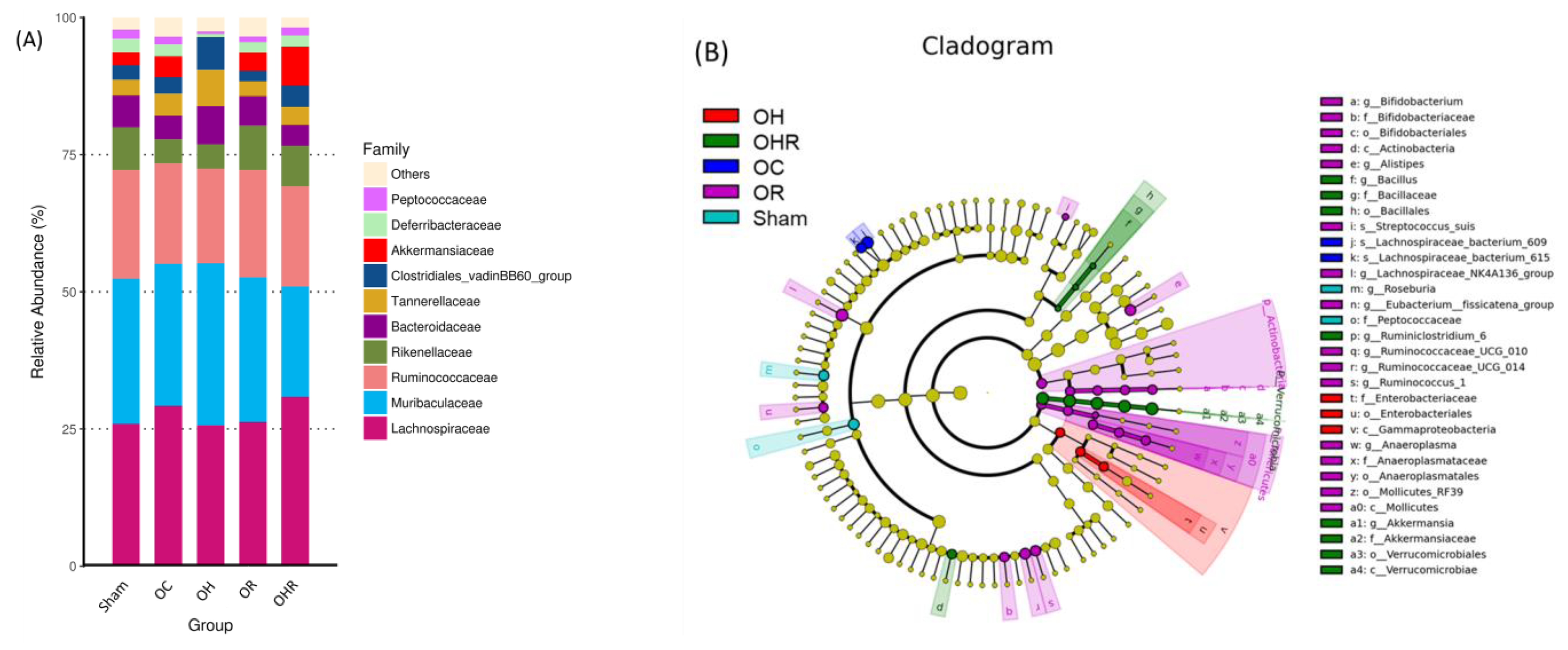 Nutrients 15 03514 g007a