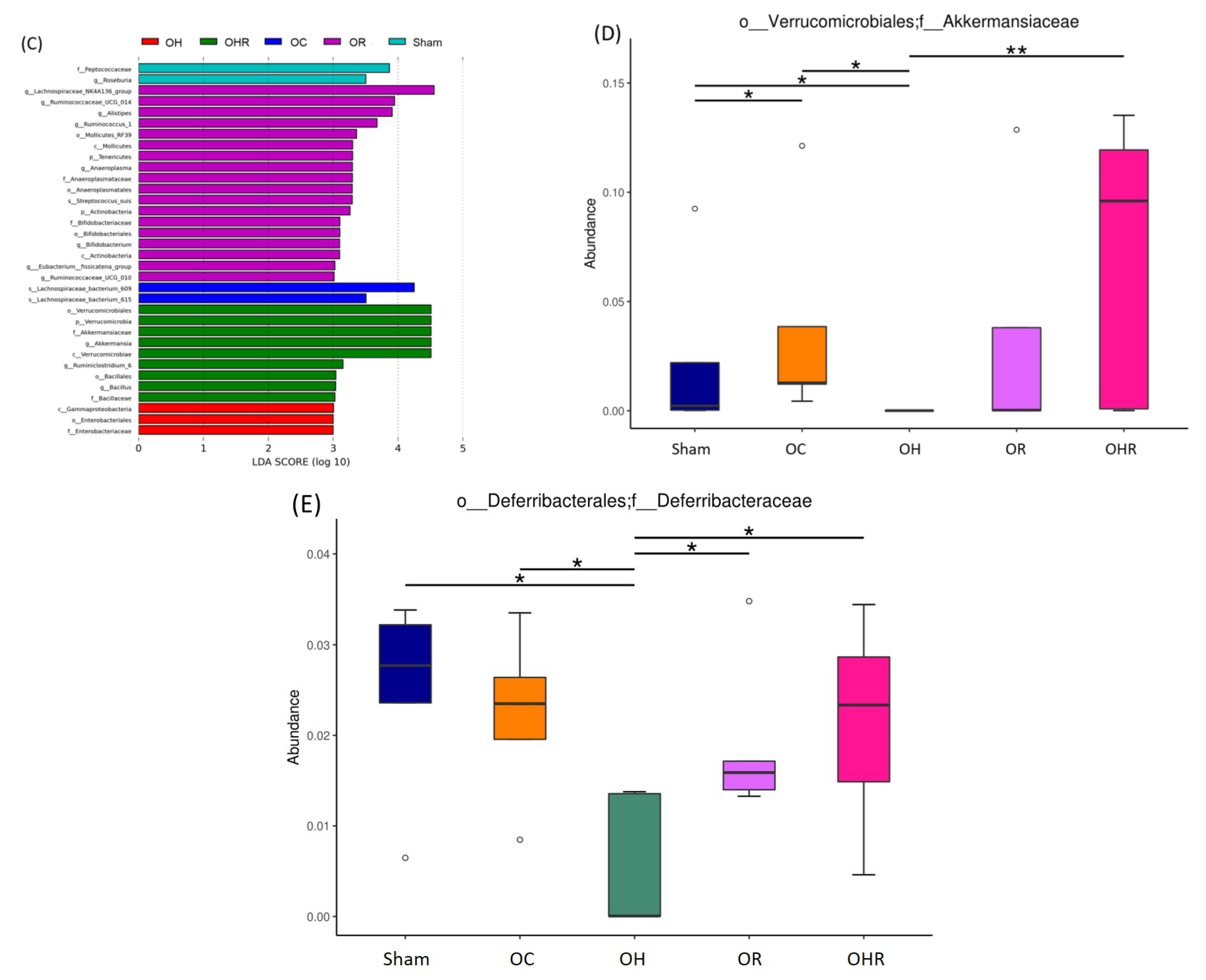Nutrients 15 03514 g007b