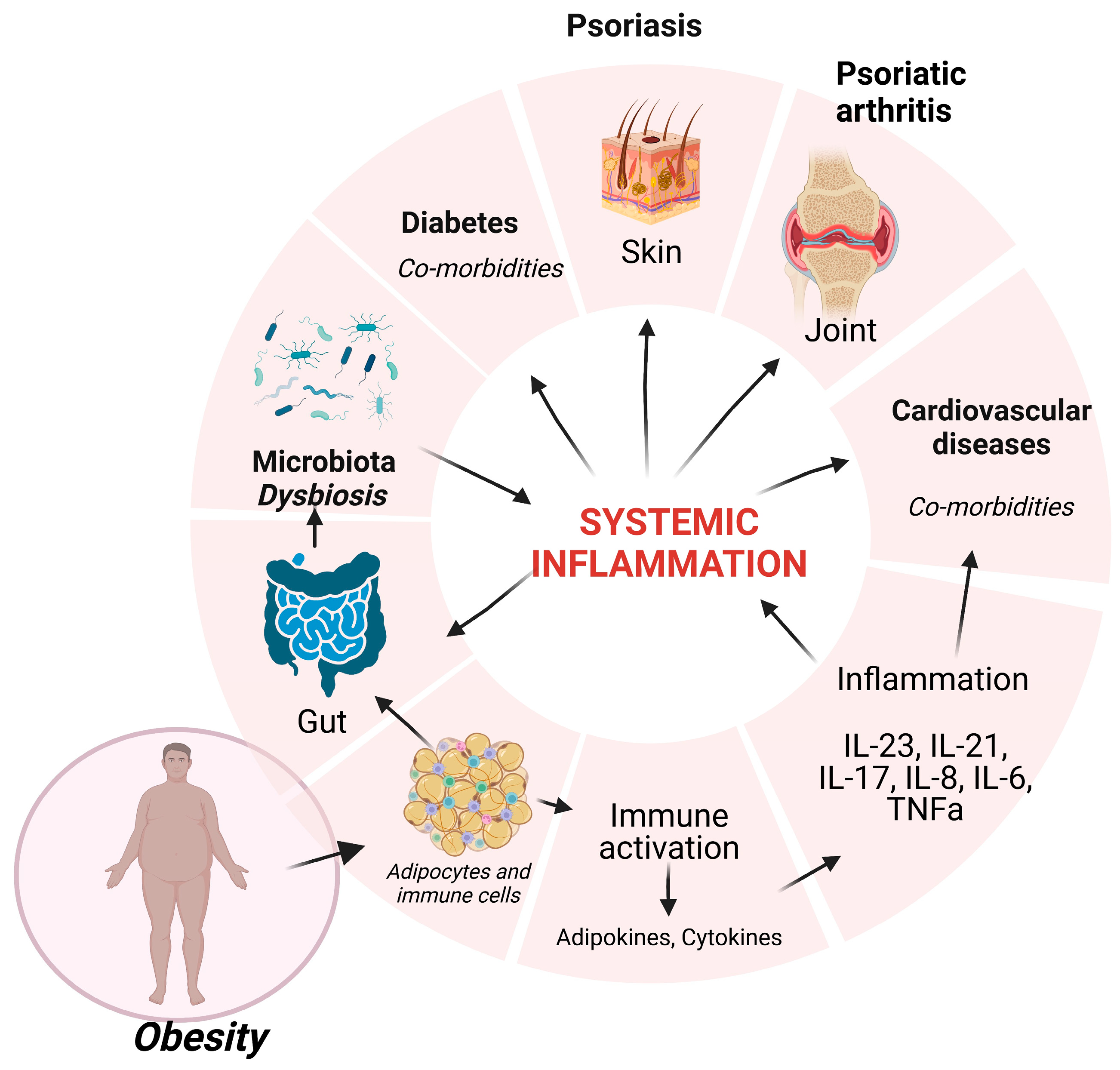 Nutrients 15 03528 g001 Nutrients 15 03528 g001