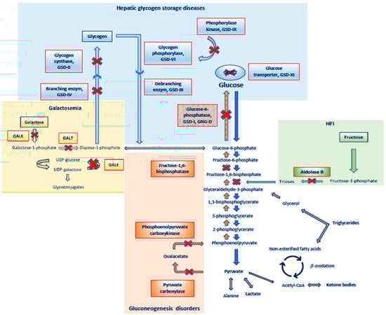 Nutrients 15 03544 g002