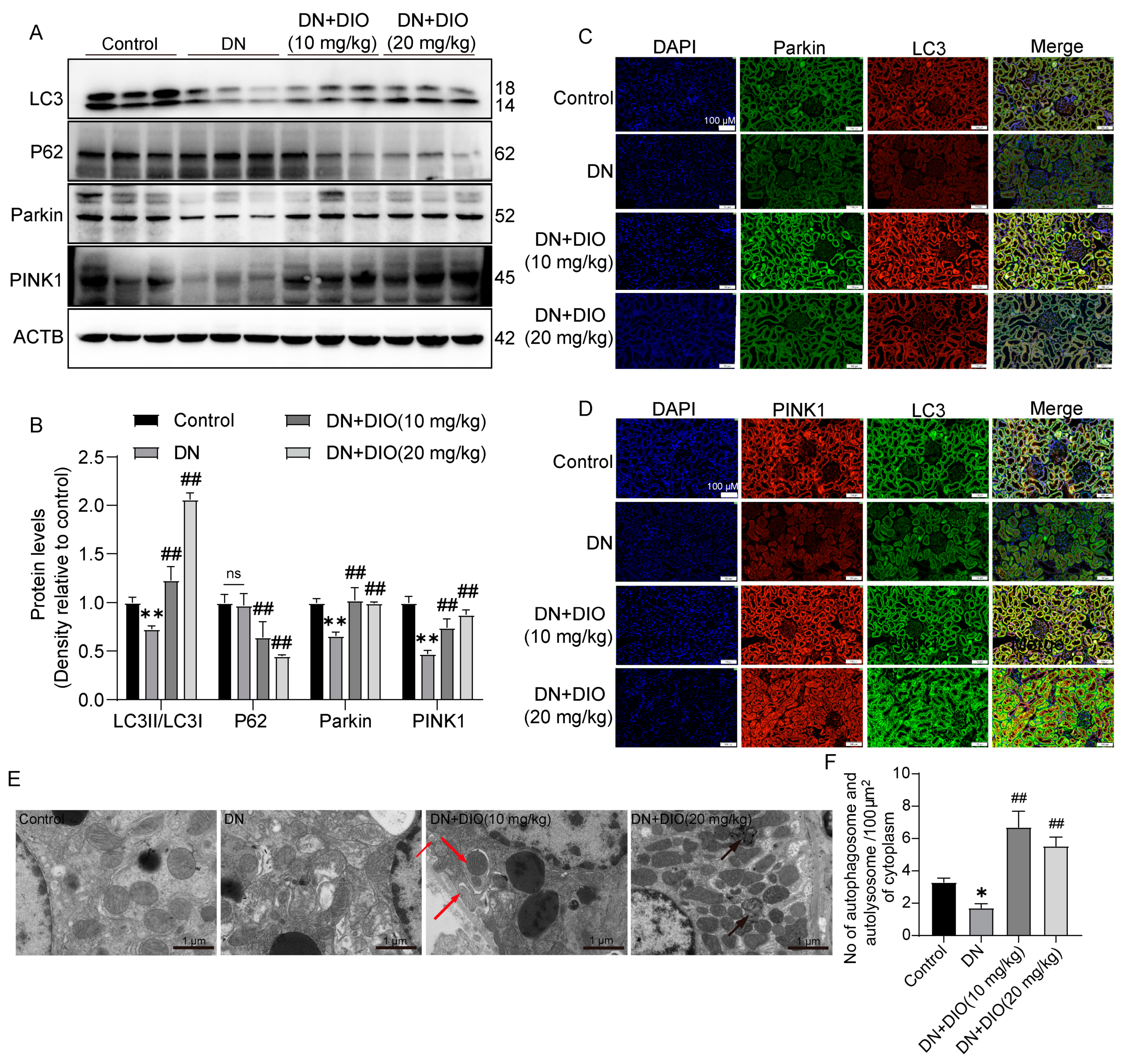 Nutrients 15 03554 g002