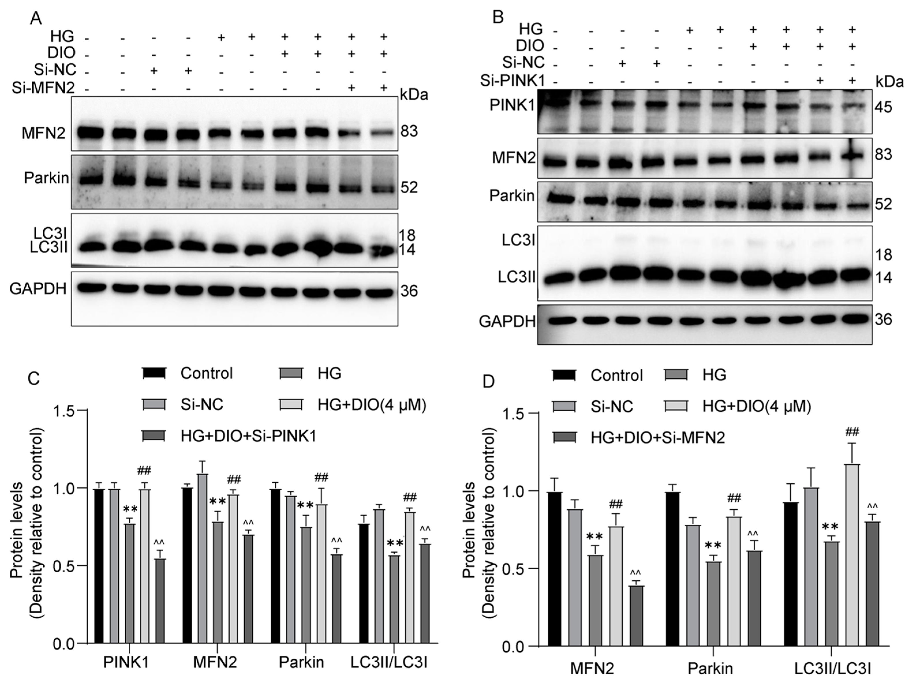Nutrients 15 03554 g004