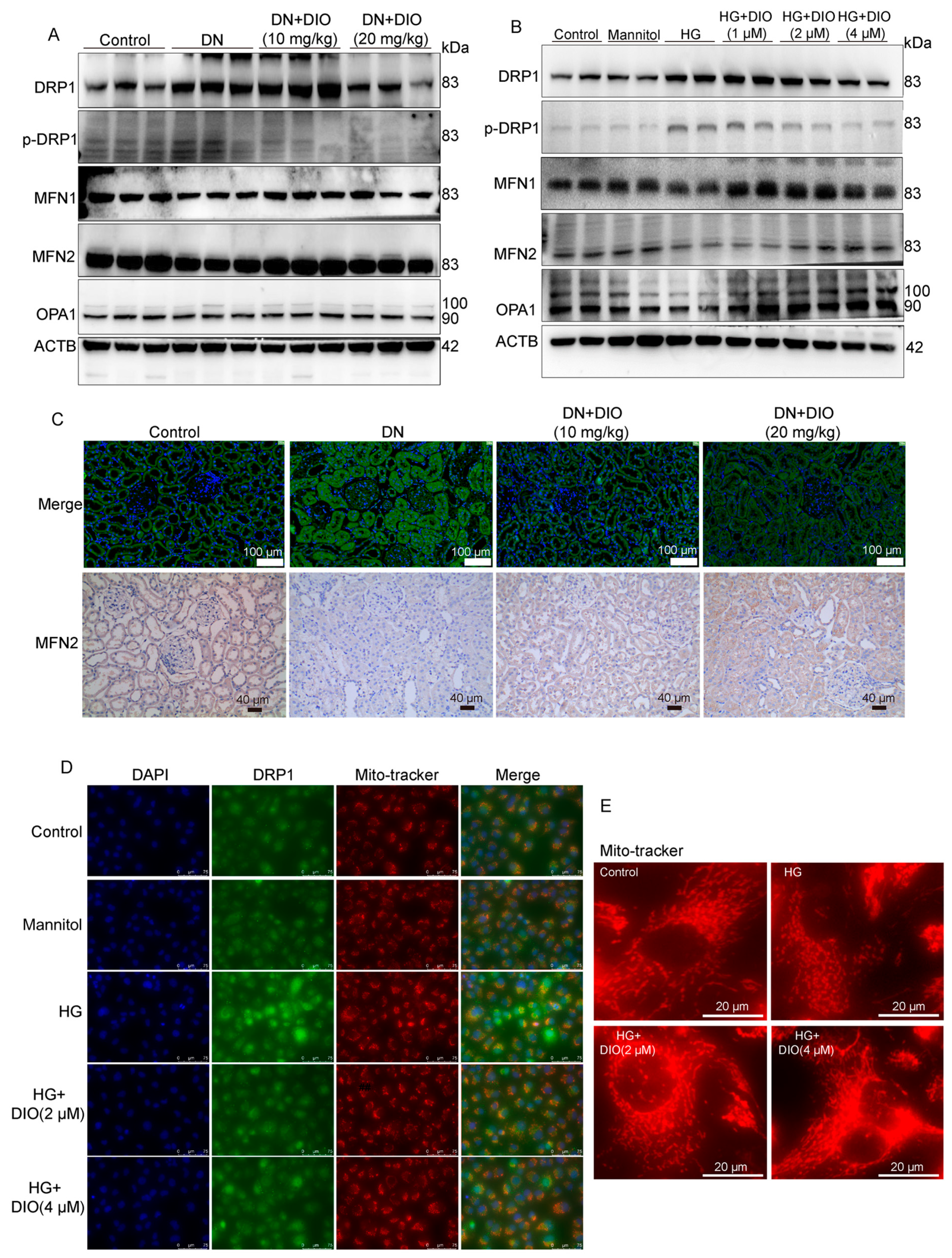 Nutrients 15 03554 g008